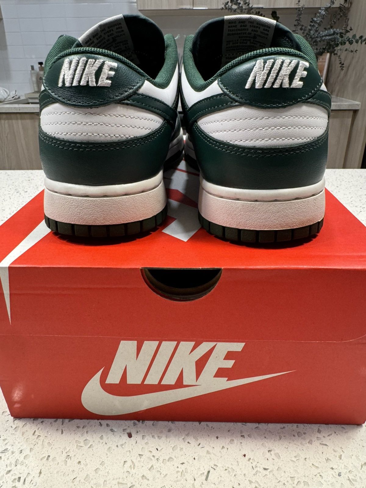 Nike Nike Dunk Low Retro “Michigan” Size US 9.5 / EU 42-43 - 2 Thumbnail