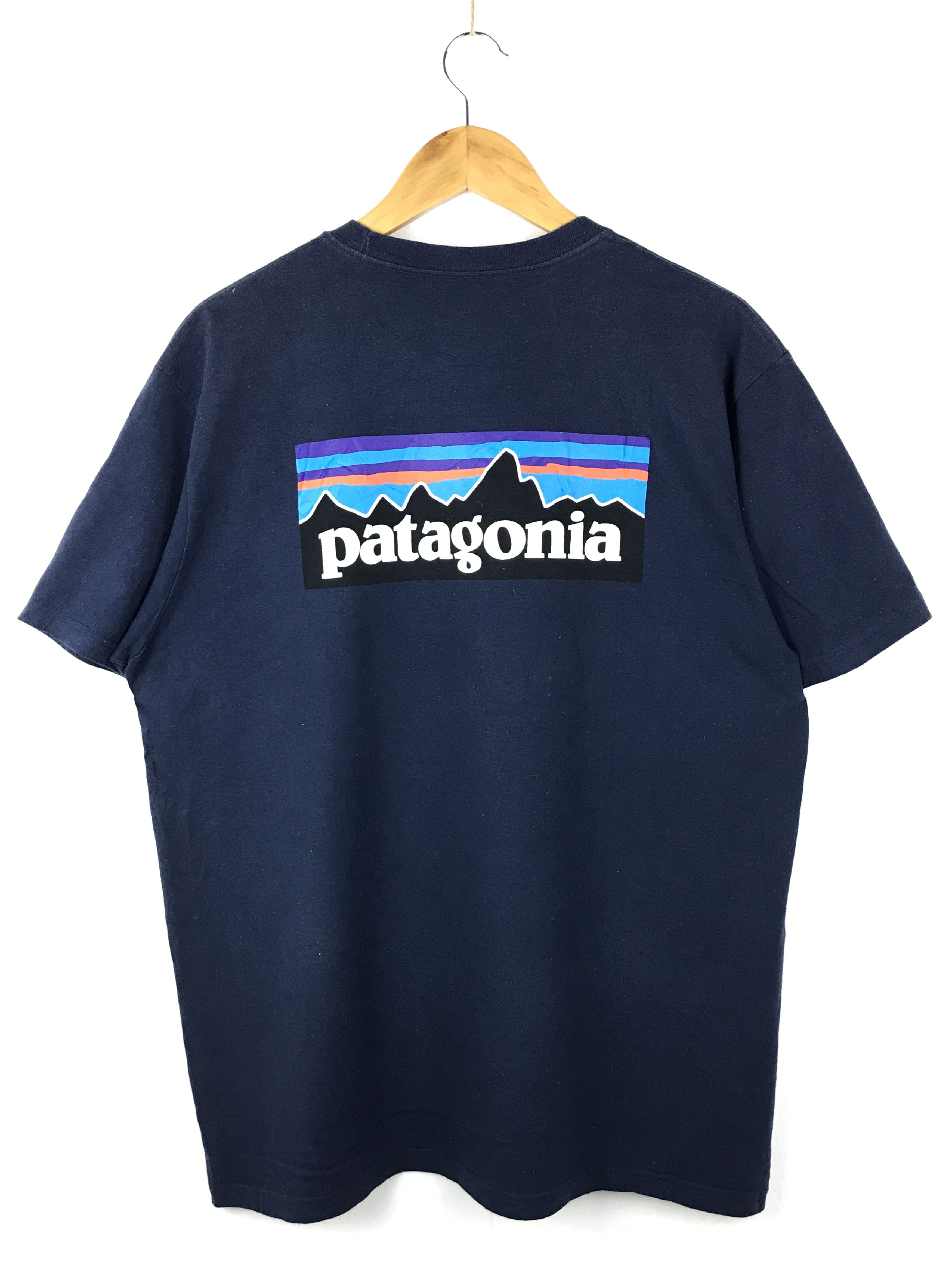 Patagonia tee big logo