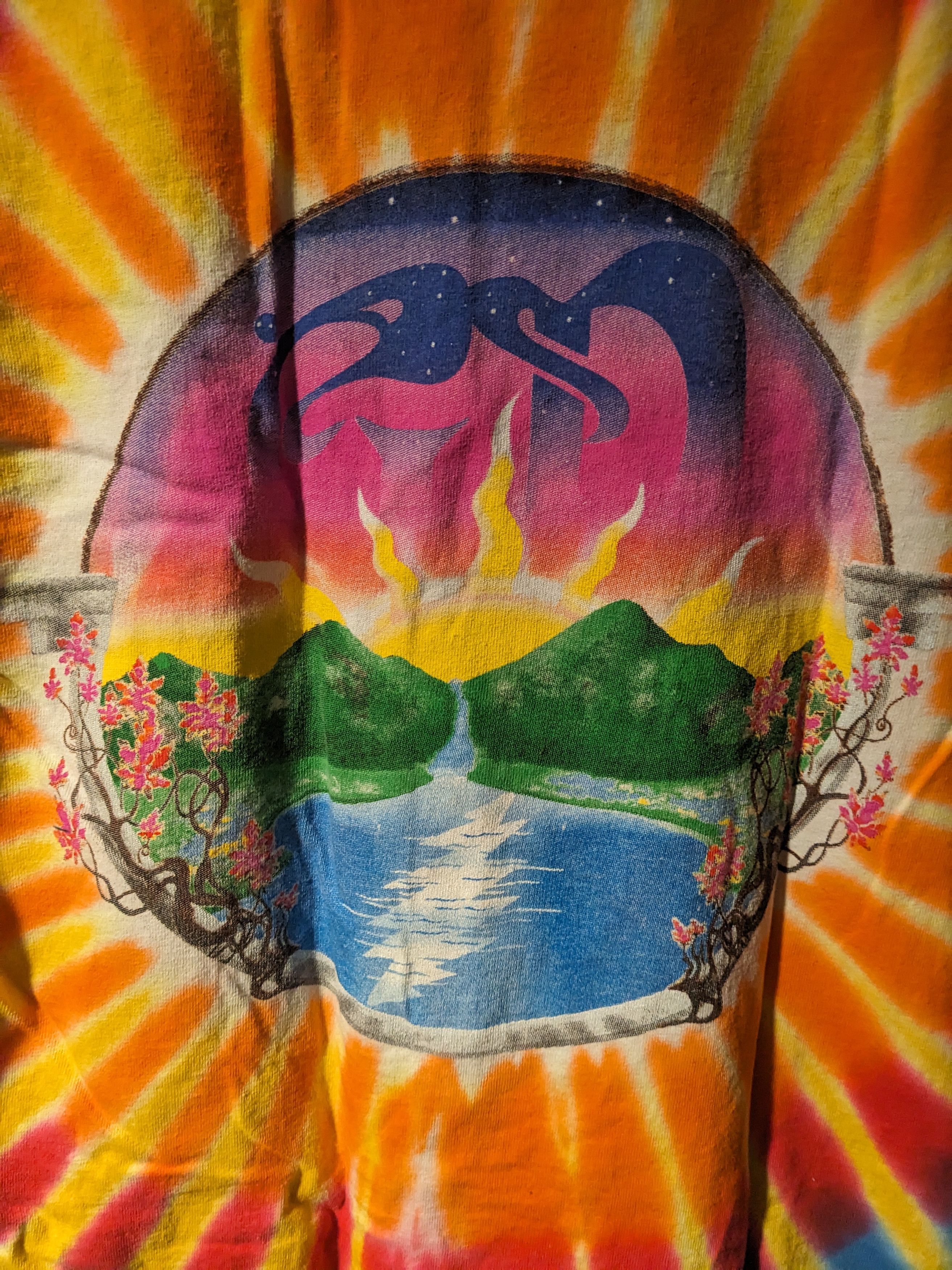 Grateful Dead × Vintage Vintage Y2K Grateful Dead Sunrise Band Music Medium T-Shirt Size US M / EU 48-50 / 2 - 7 Thumbnail