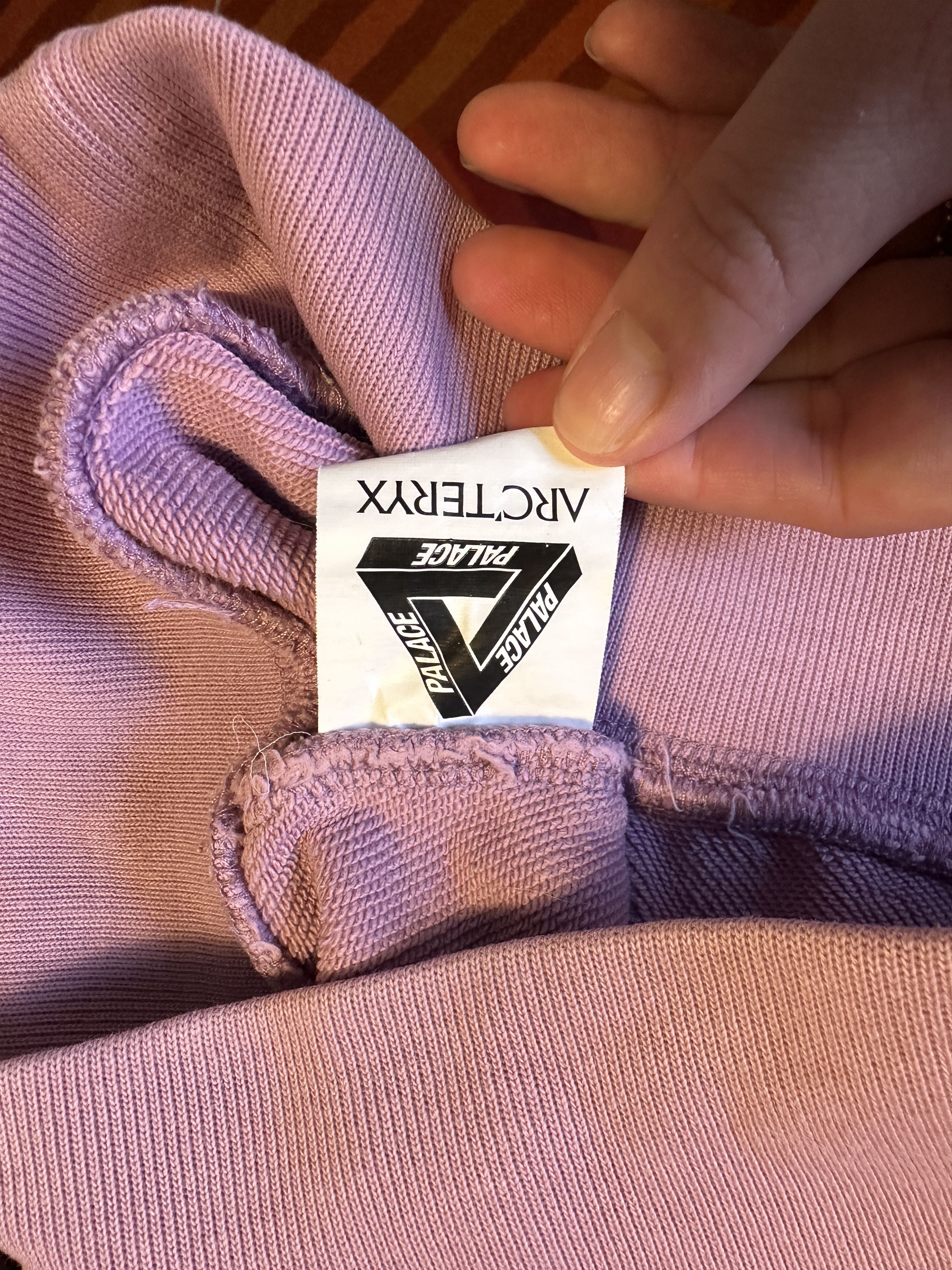 Arc'teryx × Palace Arc'Teryx x Palace Hoodie Size US L / EU 52-54 / 3 - 6 Thumbnail