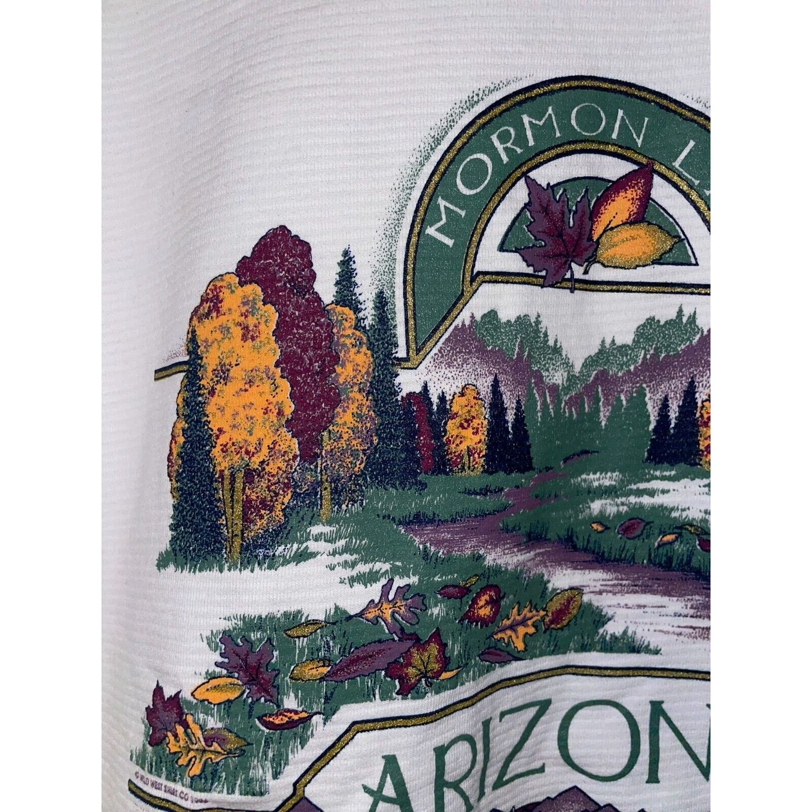 Jerzees Vintage Arizona Sweatshirt Mormon Lake Wilderness VTG 90s L Size US L / EU 52-54 / 3 - 2 Thumbnail