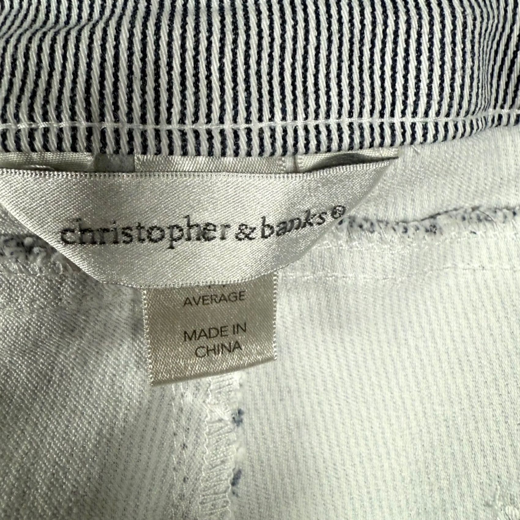Vintage Christopher Banks Blue Pinstripe High Rise Capri Pants Size 36" / US 14 / IT 50 - 4 Thumbnail