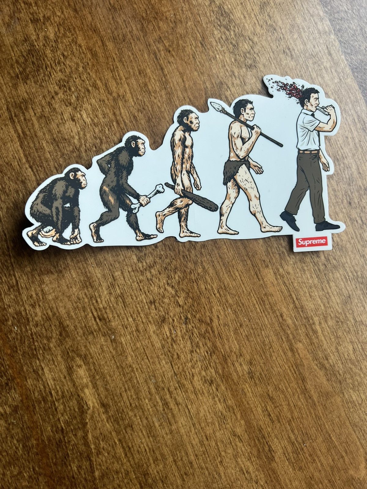 Supreme Supreme Evolution Sticker SS26 Size ONE SIZE - 1 Preview