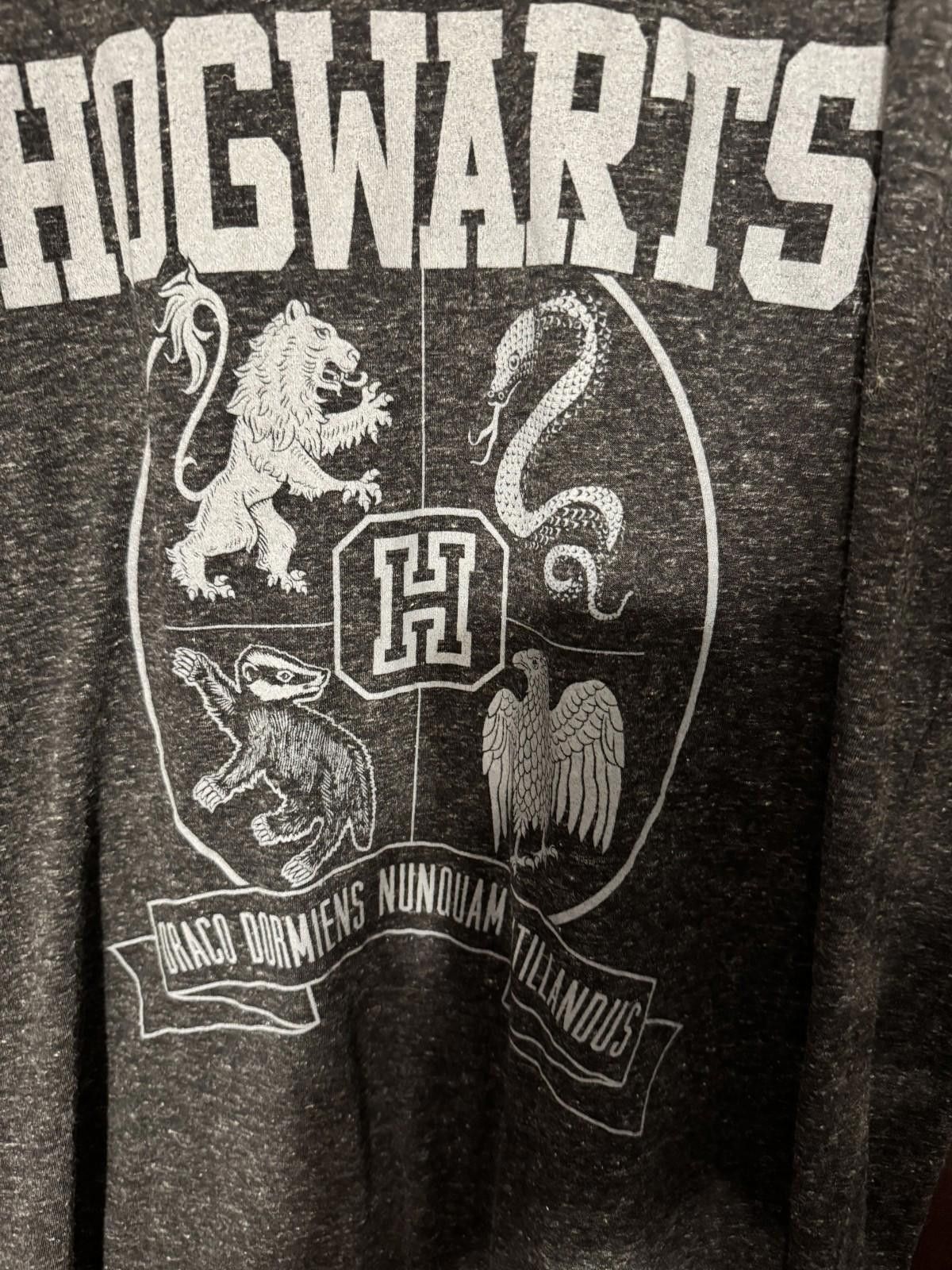 Other Harry Potter Hogwarts Super Soft T Shirt Men's Size L Gray Size US L / EU 52-54 / 3 - 3 Thumbnail