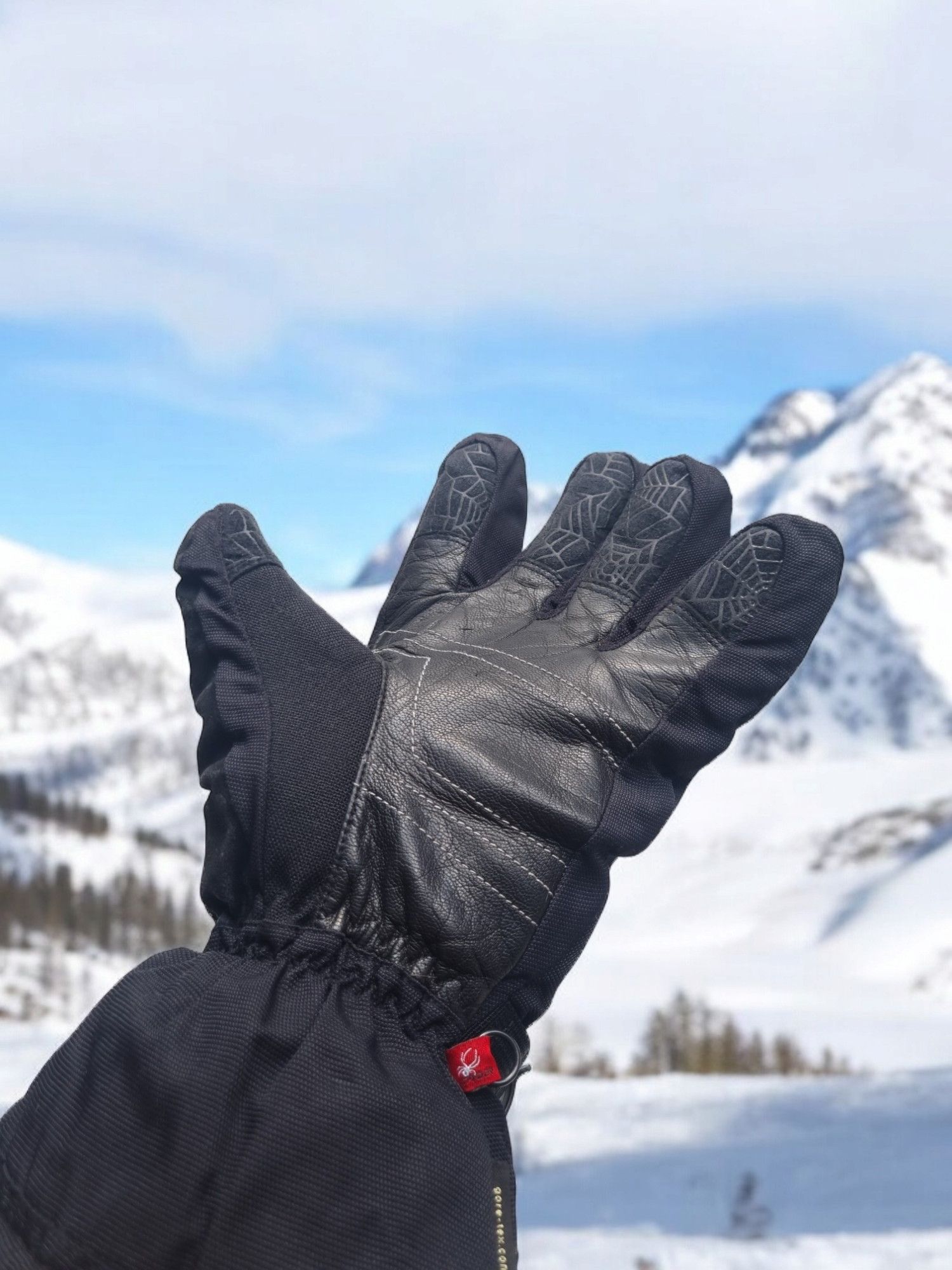 Spyder Size L Spyder Gore-Tex Skiing Gloves Size ONE SIZE - 6 Thumbnail