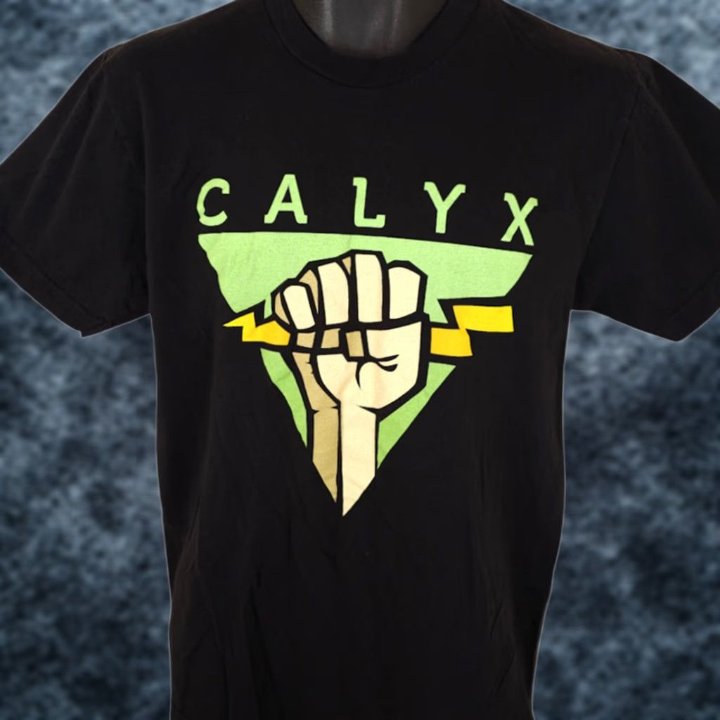 American Apparel Calyx Institute T Shirt Mens Size Medium Black Made In USA Size US M / EU 48-50 / 2 - 1 Thumbnail