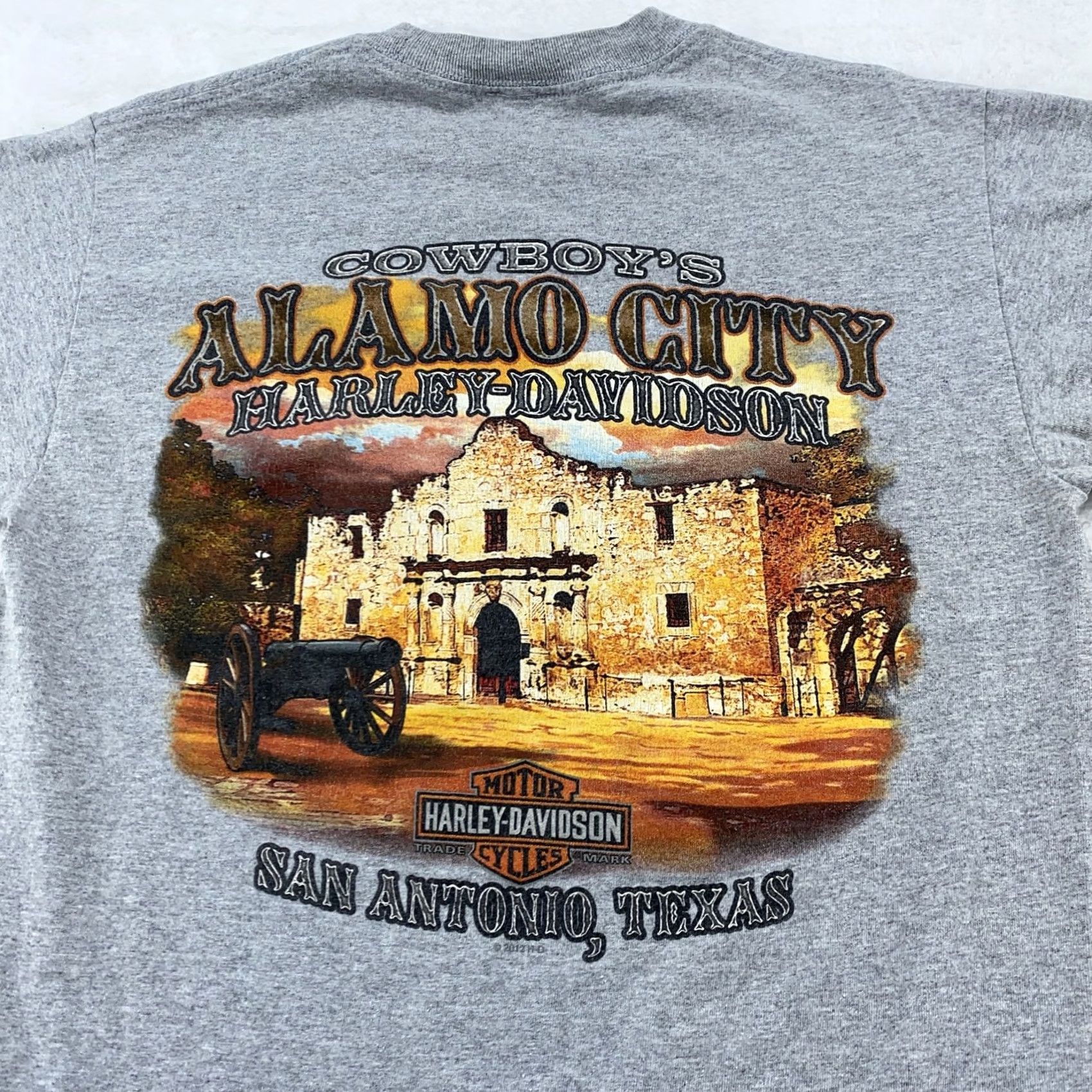 Harley Davidson Harley-Davidson Shirt Mens M Gray Graphic Print City Alamo San Antonio Texas Motorcycle Tee Short Sleeve Crew Neck T-Shirt Lifestyle: Classic Fit Mens Size US M / EU 48-50 / 2 - 2 Thumbnail