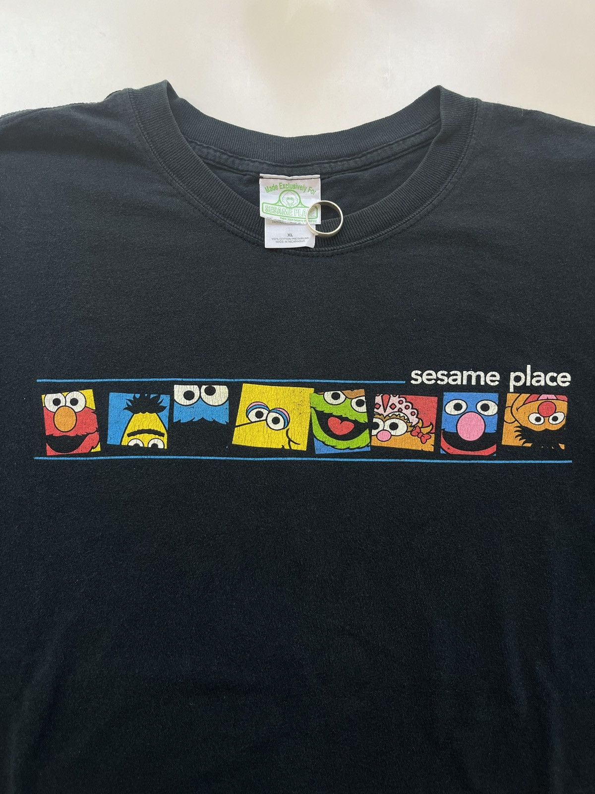 Vintage Vintage Sesame Place Character 2004’s Tshirt Size US XL / EU 56 / 4 - 5 Thumbnail