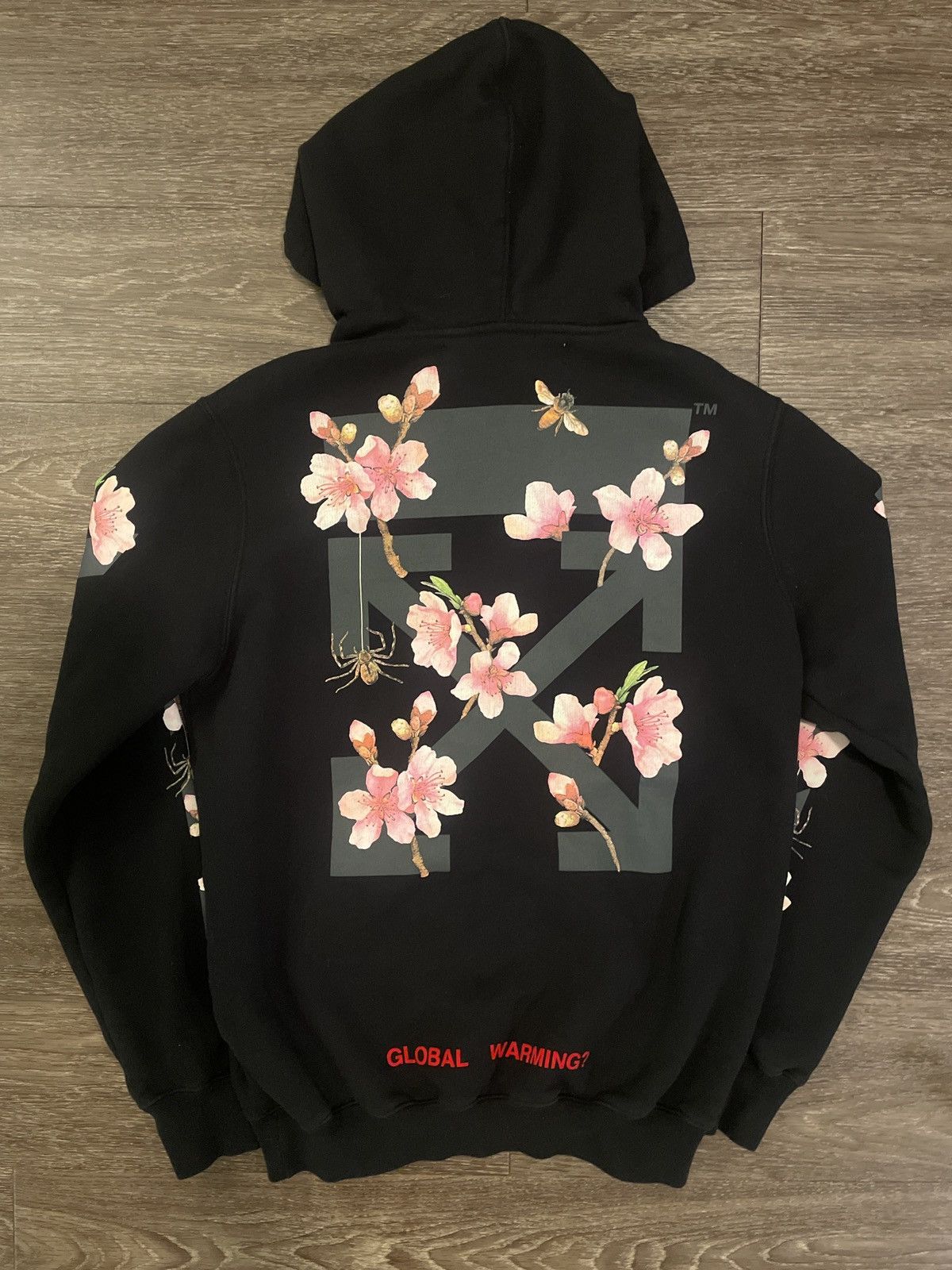 Off White Off White Global Warming Hoodie Grailed