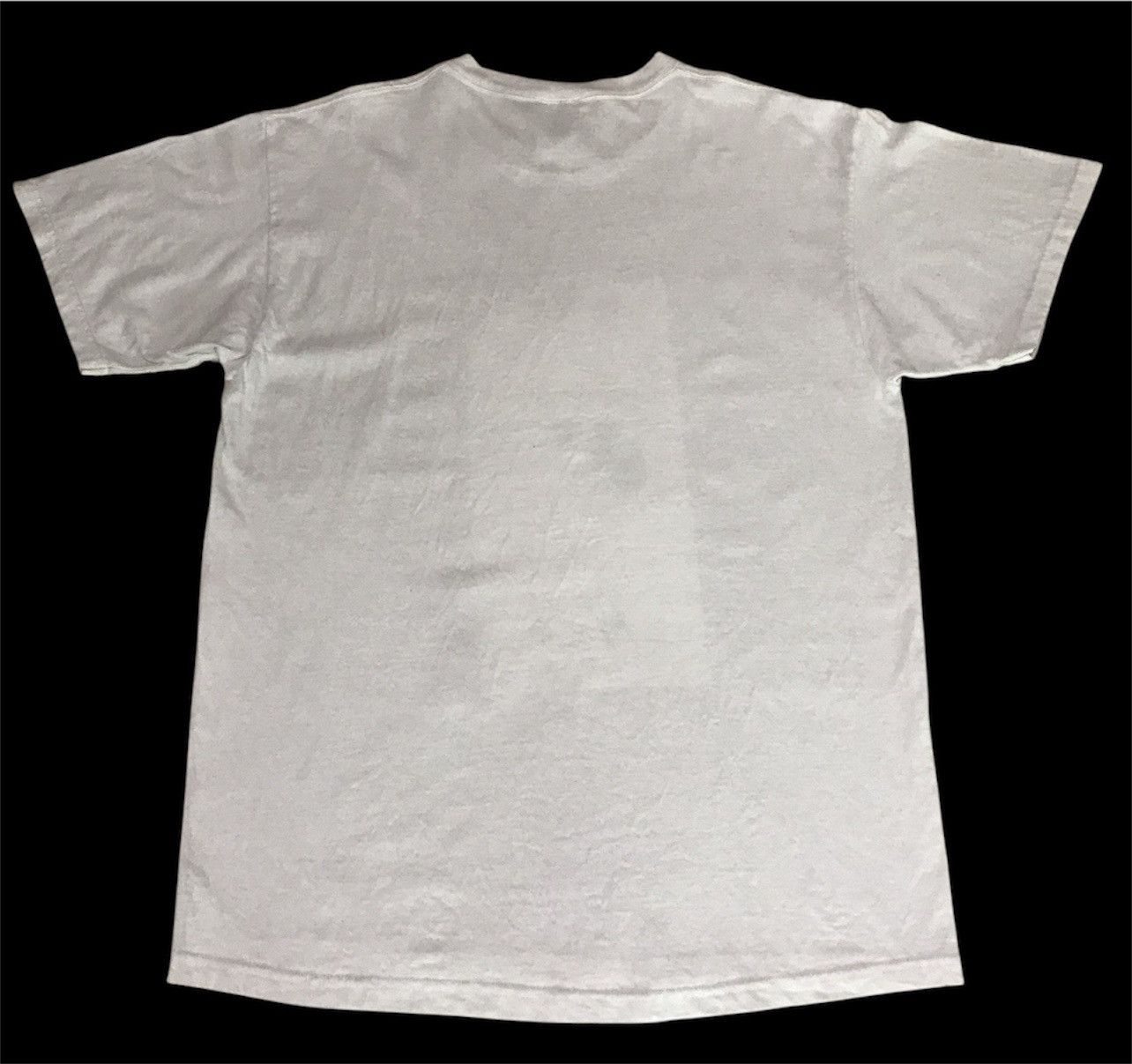 Vintage Y2K Naked Cowboy Cowgirl Robert Burck graphic streetwear Tee Size US L / EU 52-54 / 3 - 5 Thumbnail