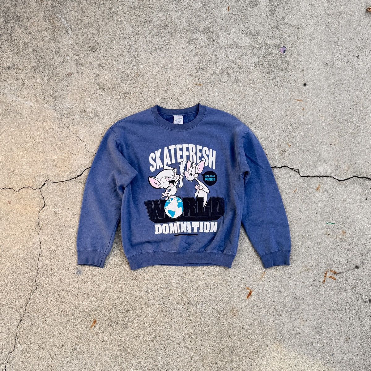 Other × Vintage Skatefresh x Pinky and the Brain “World Domination” Crewneck Size US S / EU 44-46 / 1 - 1 Thumbnail