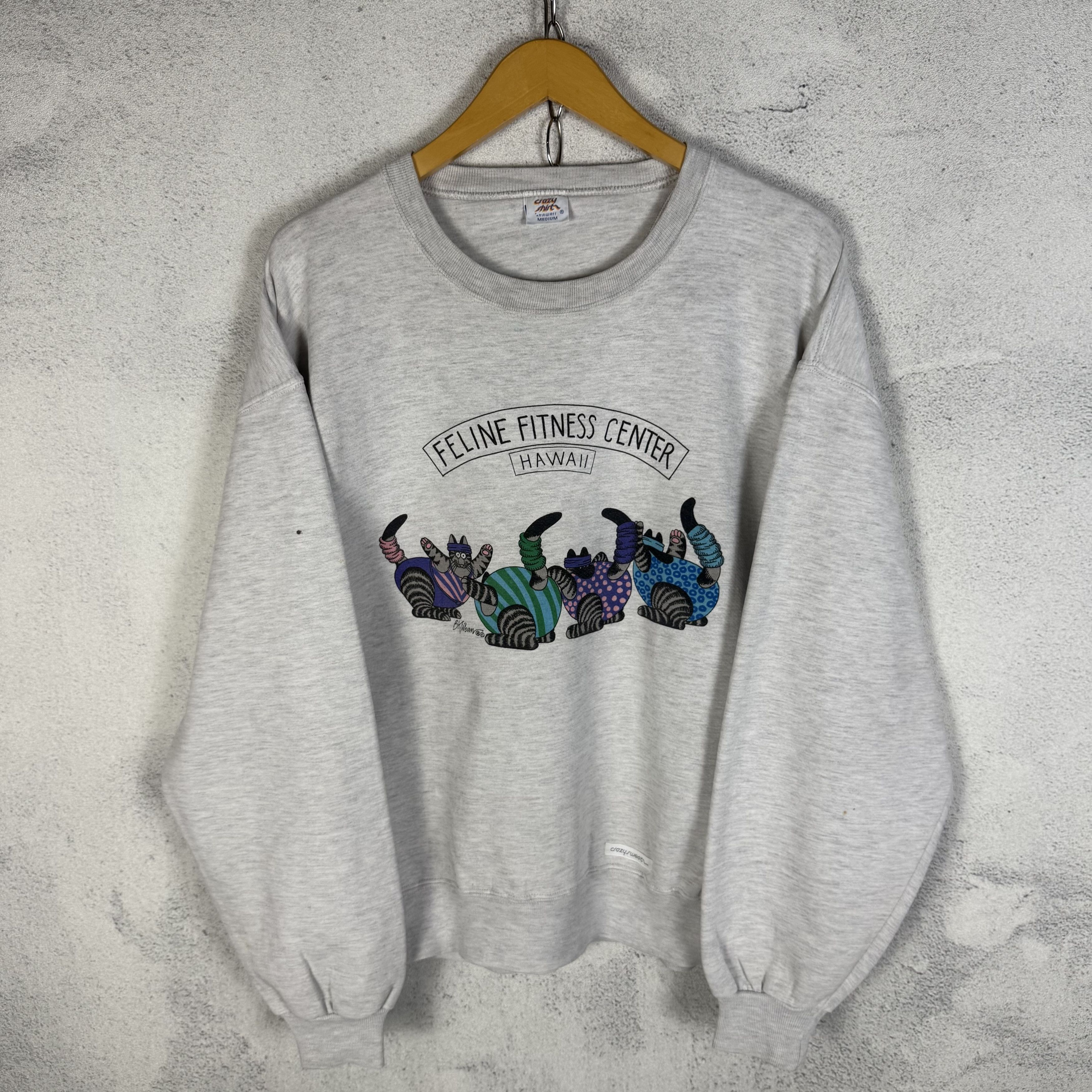 Vintage Vintage Crazy Shirts Sweatshirt Crewneck Size US M / EU 48-50 / 2 - 1 Thumbnail