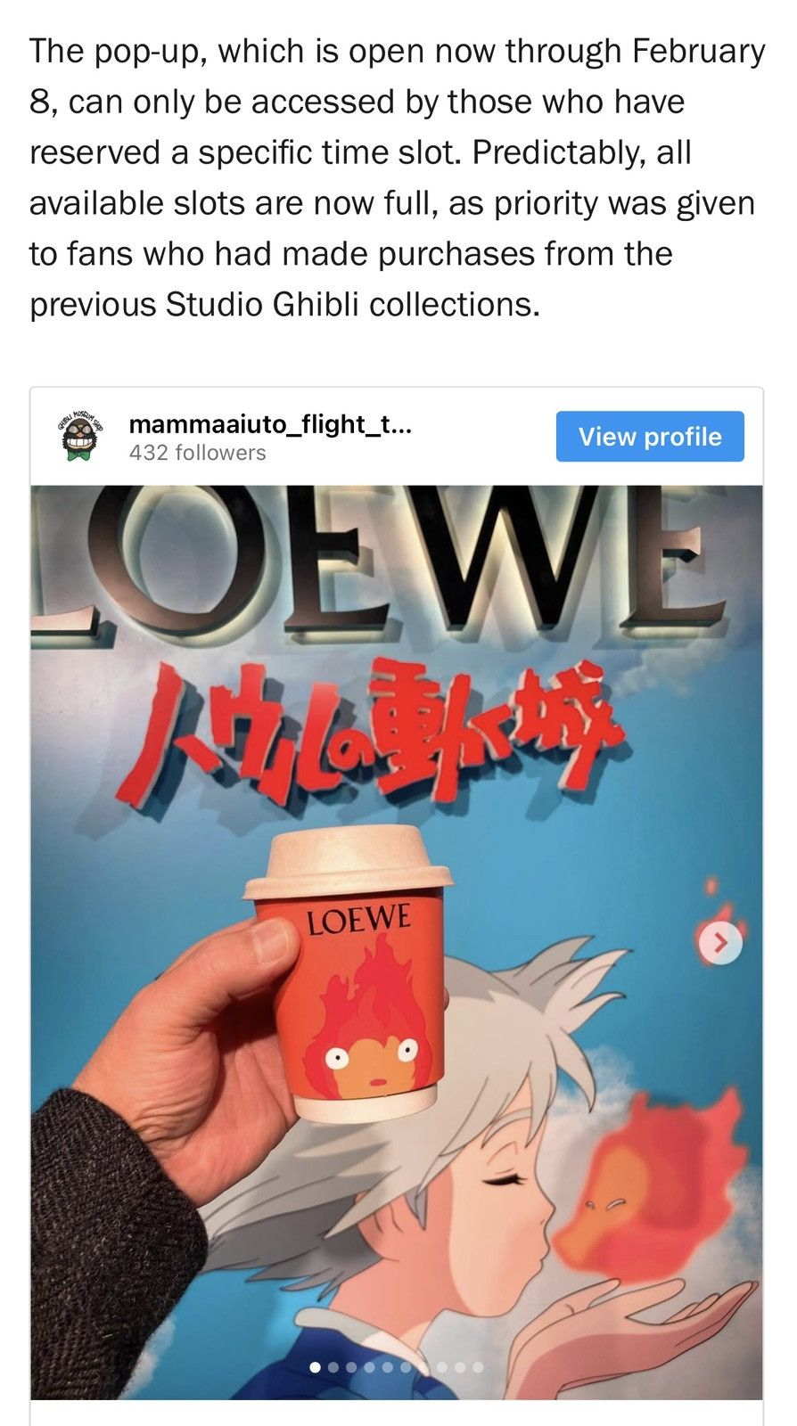 Loewe Loewe x Studio Ghibli Calcifer Shearling Leather Jacket Size US M / EU 48-50 / 2 - 18 Thumbnail