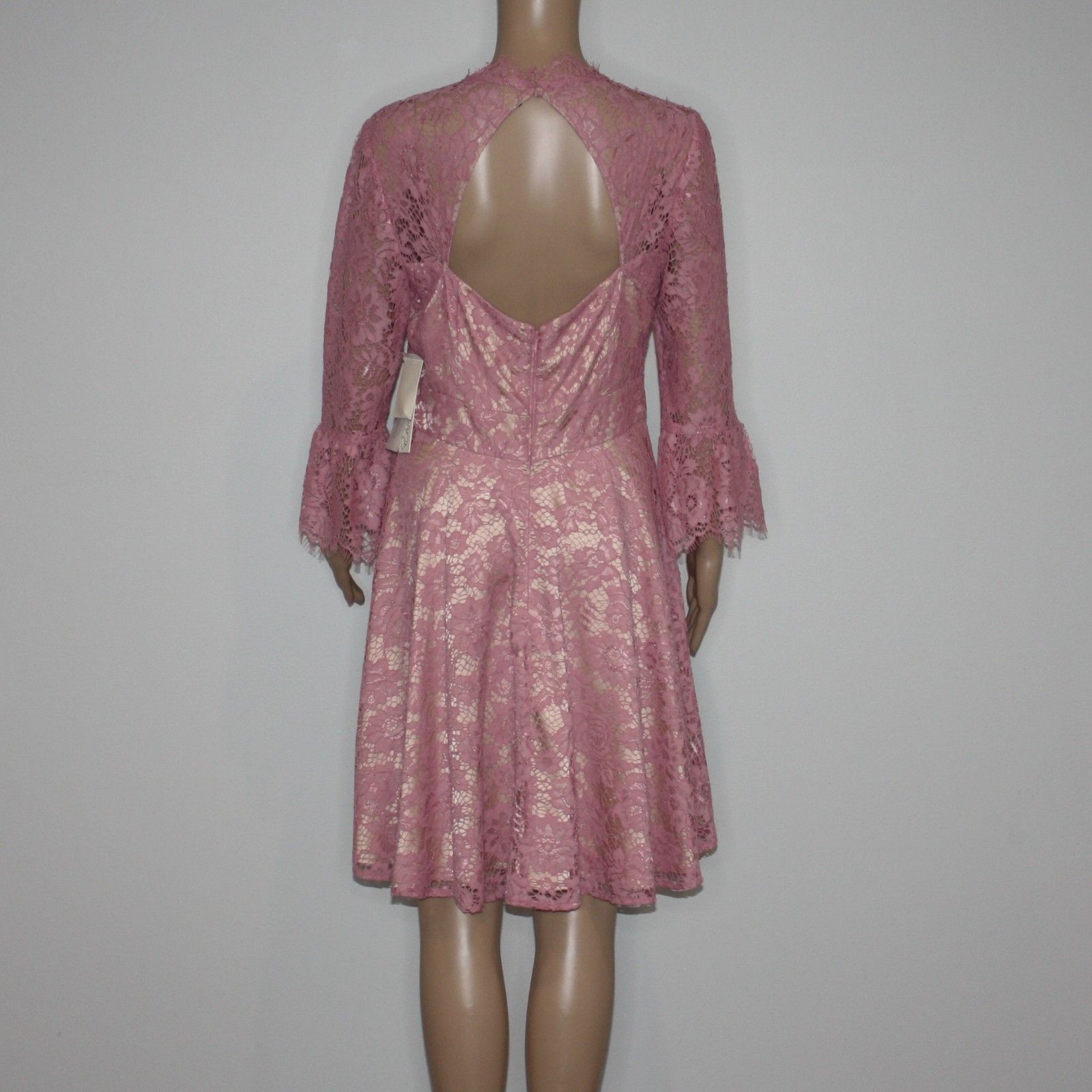 Other Eliza J Bell Sleeve Lace Fit & Flare Dress NWT MSRP $158 Size M / US 6-8 / IT 42-44 - 5 Thumbnail