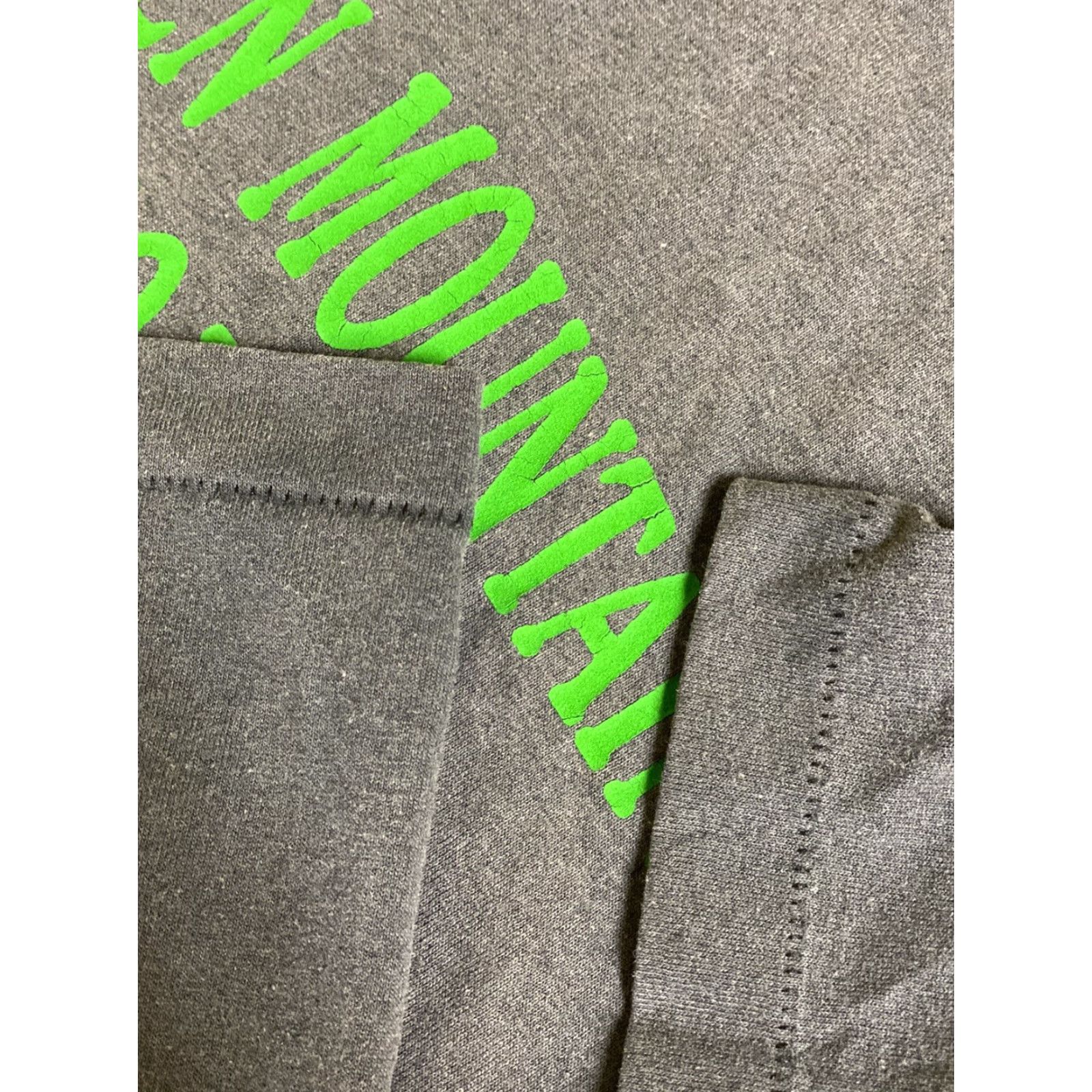 Y/Project VINTAGE Mens L Gray Short Sleeve T-Shirt Green Mountain Project Vermont VT L Crew Neck Cotton Blend Size US L / EU 52-54 / 3 - 4 Thumbnail