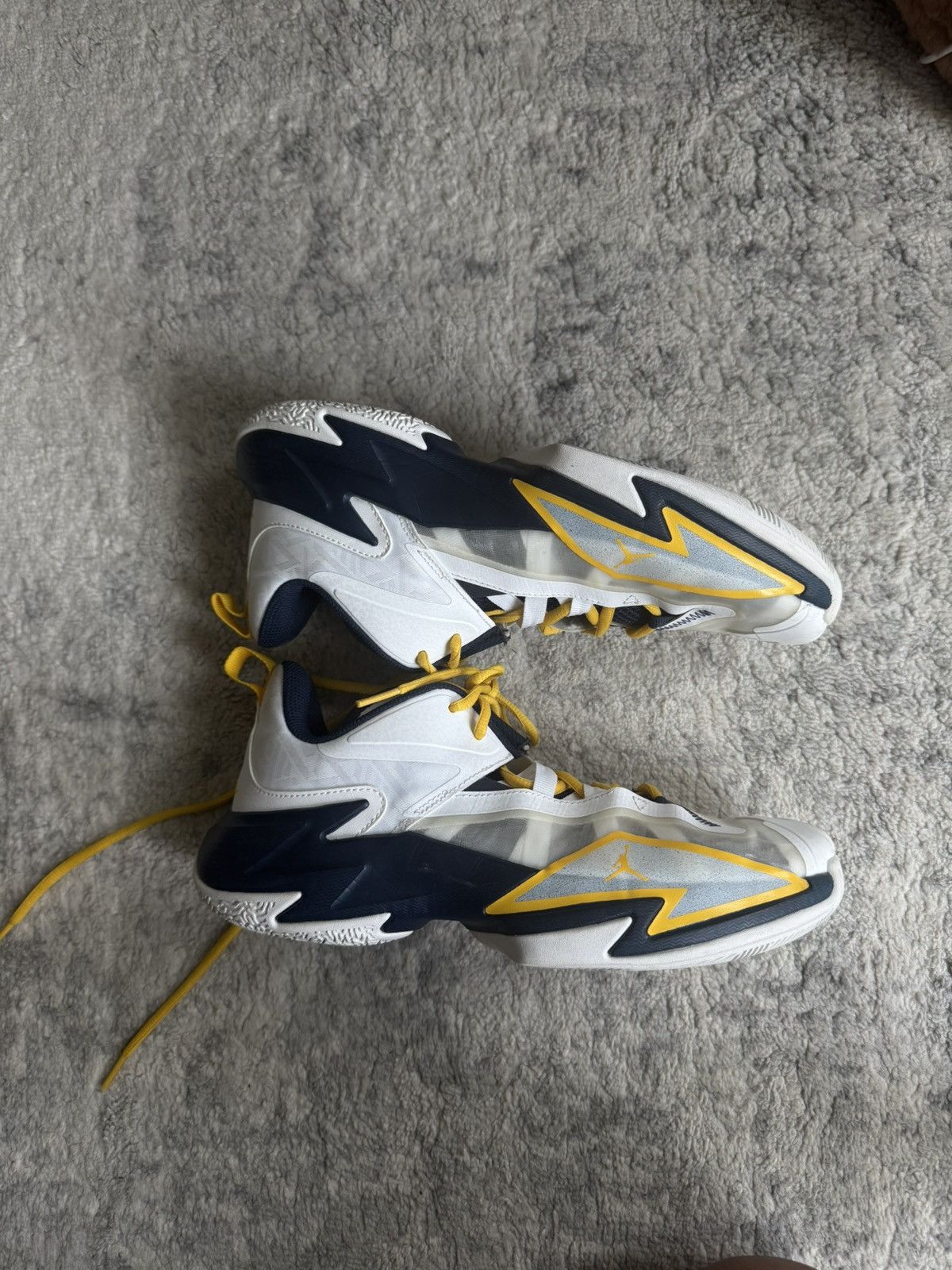 Jordan Brand Michigan PE’s Size US 8 / EU 41 - 1 Thumbnail