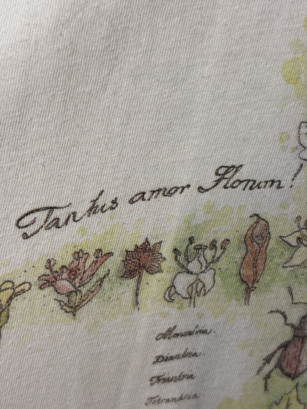 Vintage Rare VTG Linnaeus Methodus Plantarum Tee Lotta Dale Science Size US L / EU 52-54 / 3 - 6 Thumbnail