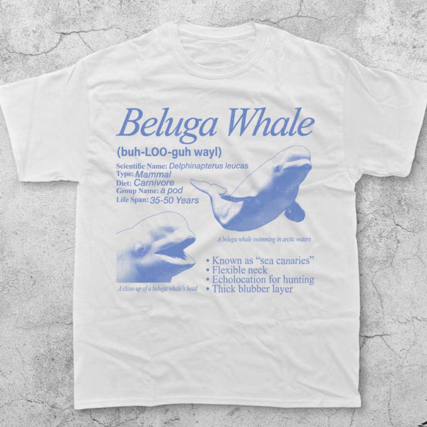 Japanese Brand Beluga Whale Vintage 90s Graphic T-Shirt, Retro Marine Tee Size US L / EU 52-54 / 3 - 1 Thumbnail