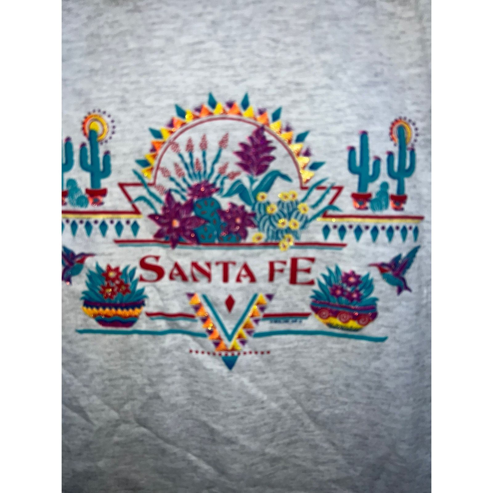 Jerzees Youth Santa Fe Shirt New Mexico Graphic Tee Top Kid's Medium Size M / US 6-8 / IT 42-44 - 2 Thumbnail