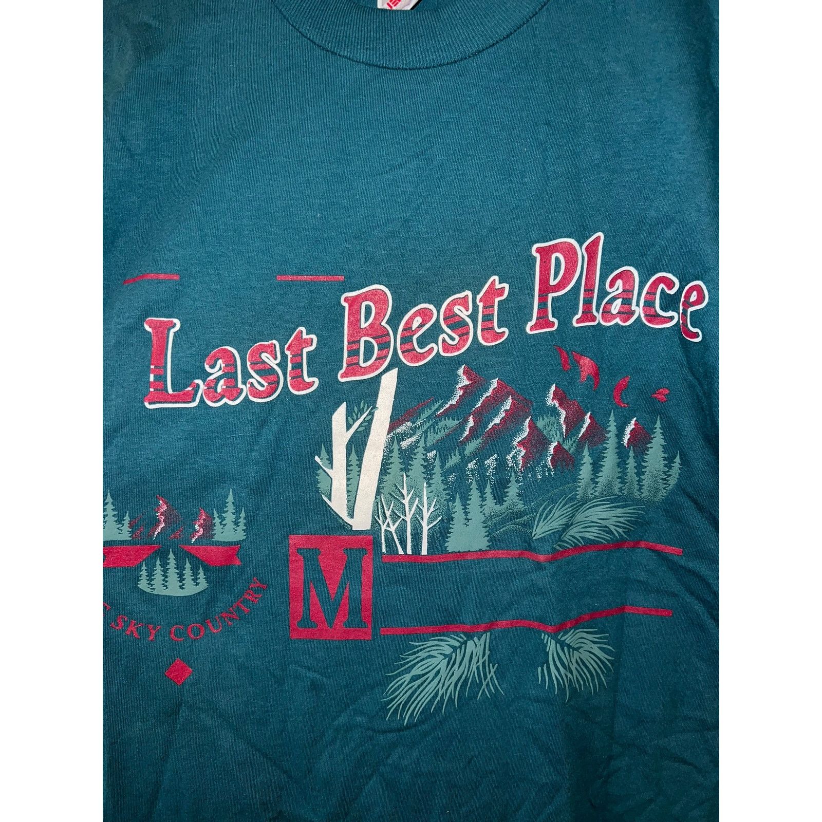 Jerzees Vintage Arizona Shirt 90s Last best Place Green Tee VTG M Size US M / EU 48-50 / 2 - 4 Thumbnail