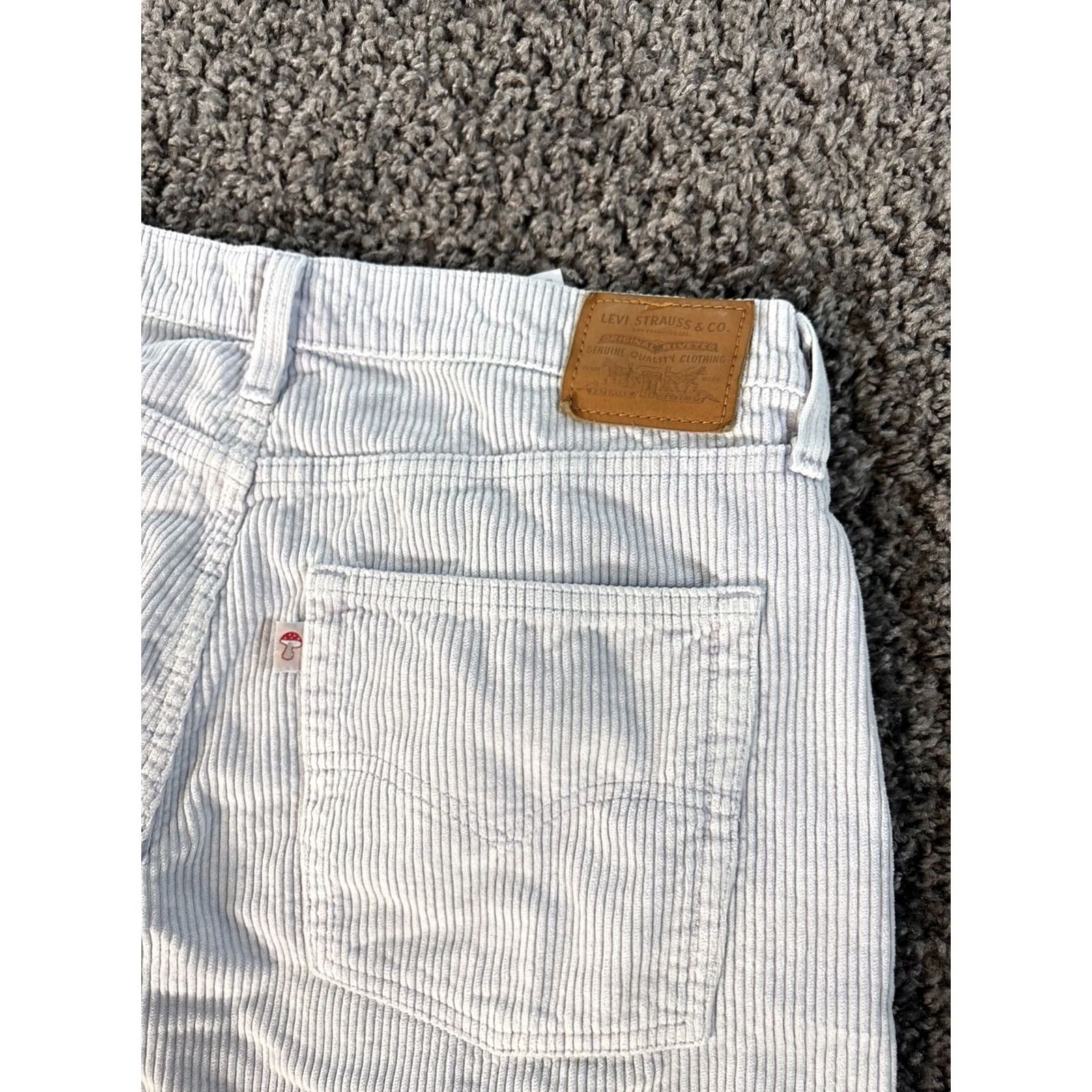 Levi's Levi's Premium Big E Baggy Dad Jeans Womens 33x29 Lavender Corduroy Straight 90s Size 24" / US 00 / IT 34 - 8 Thumbnail