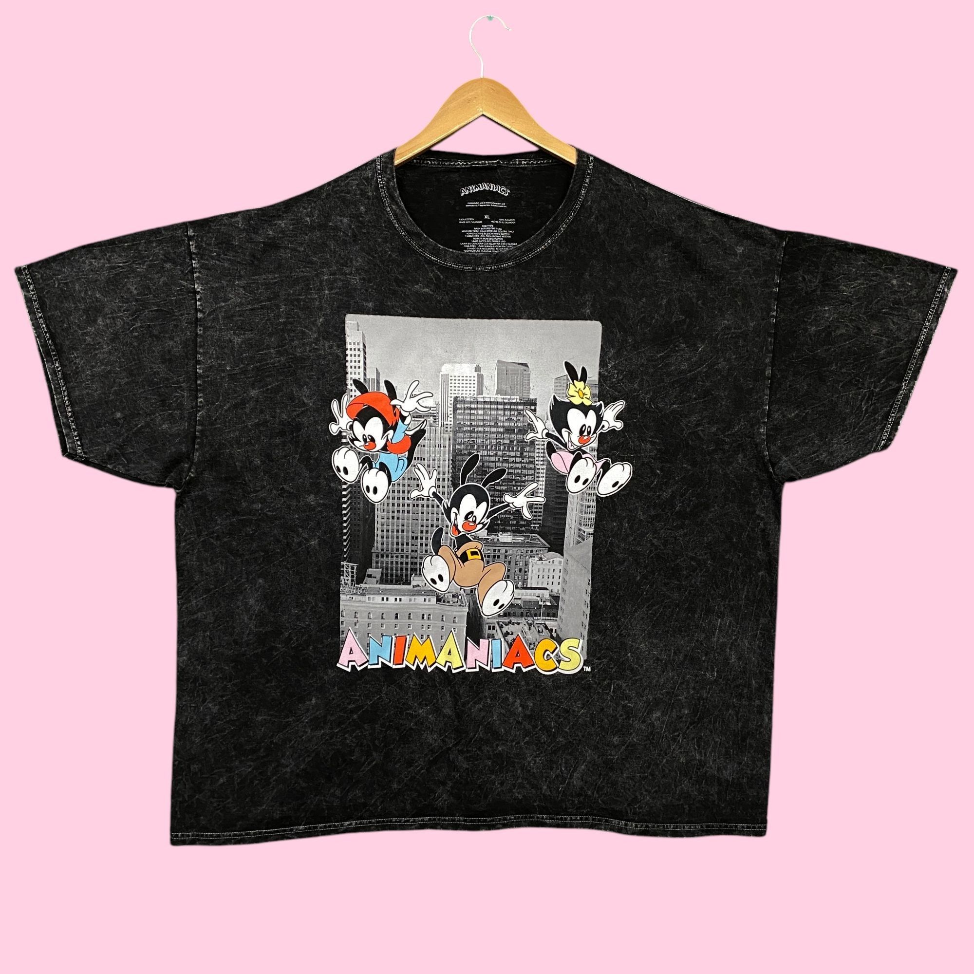 Cartoon Network Animaniacs Yakko, Wakko, & Dot Mineral Wash Oversized Tee XL Size US XL / EU 56 / 4 - 1 Thumbnail