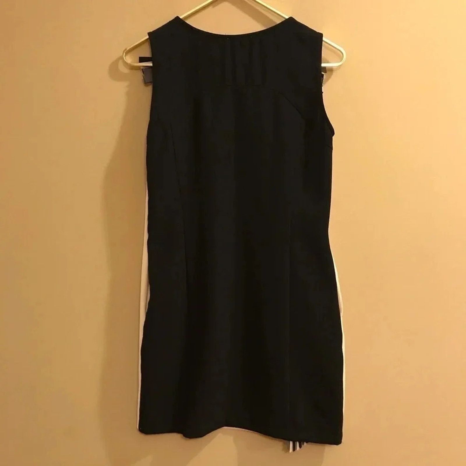 Other Esley Cream and Black Colorblock Shift Dress Small Size S / US 4 / IT 40 - 6 Thumbnail