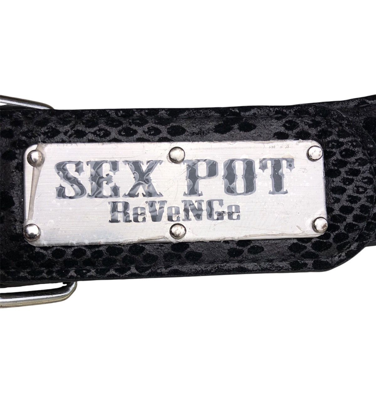Sex Pot ReVeNGe Sex Pot Skull Buckle Snake Skin Belt Bondage Style Size ONE SIZE - 8 Thumbnail