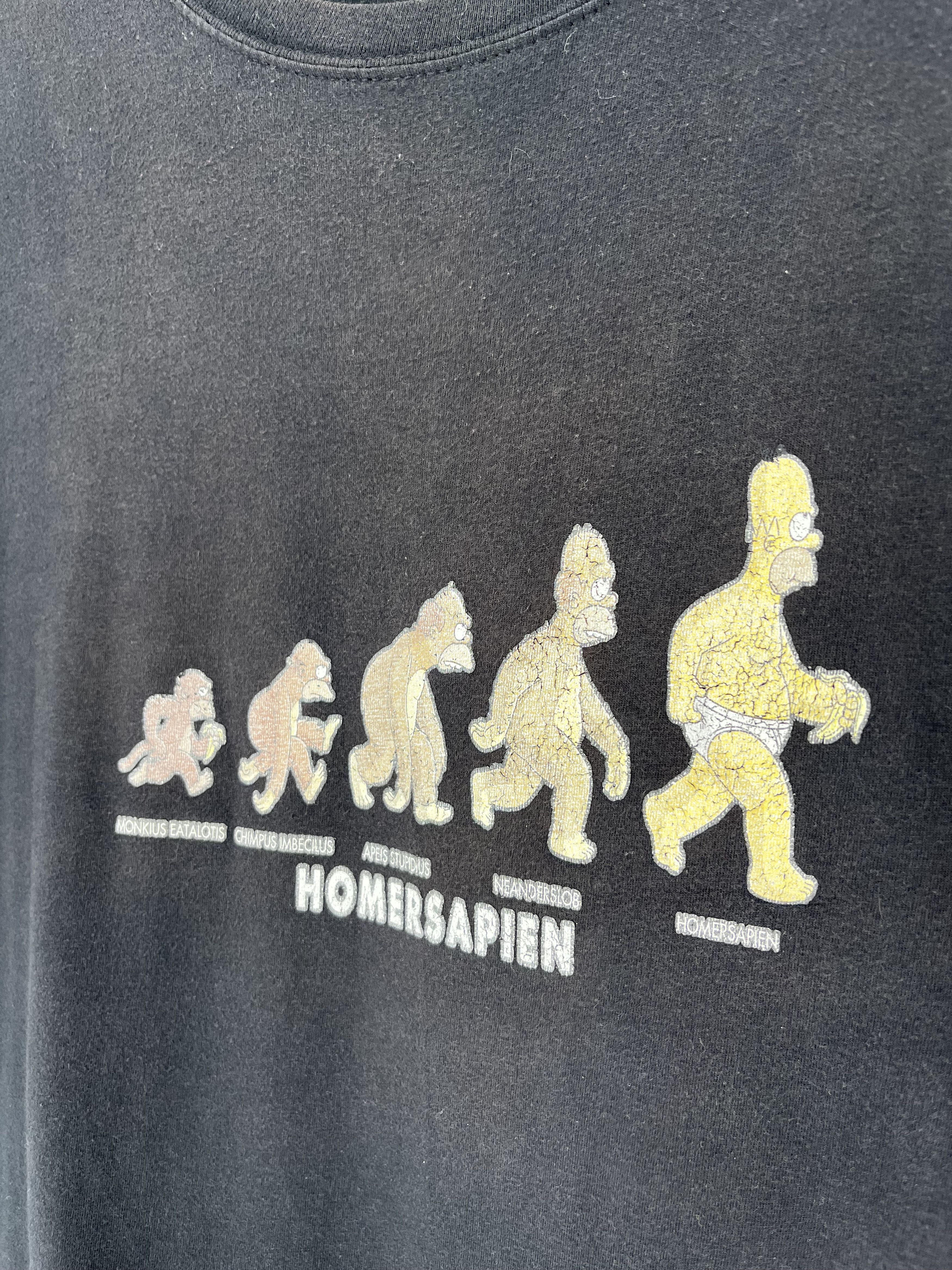 The Simpsons intage Homersapien Simpsons Black T-Shirt Y2K 90S Size US XL / EU 56 / 4 - 6 Thumbnail