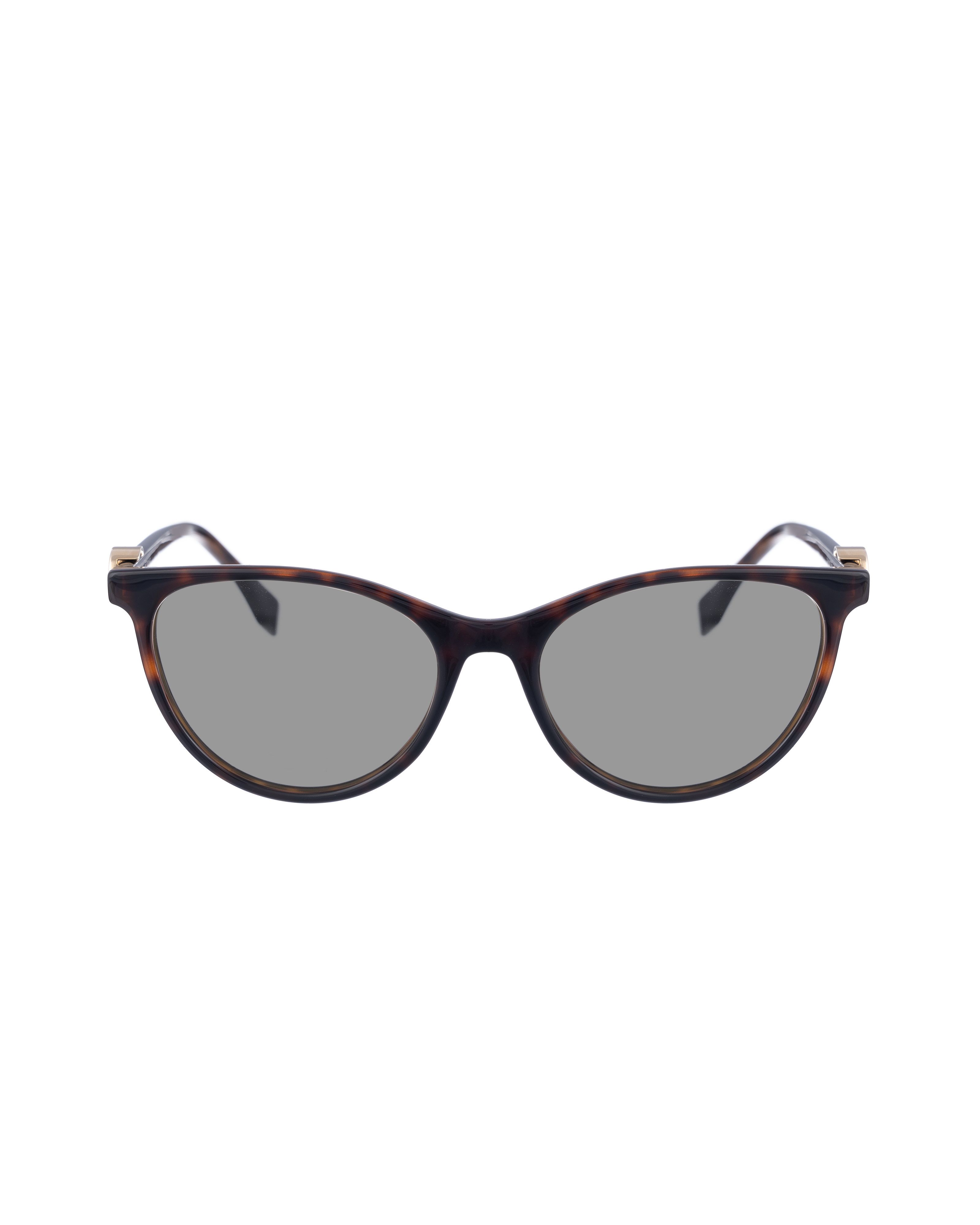 Fendi Fendi 00s Oversized Brown Cheetah Classic Sunglasses Size ONE SIZE - 3 Thumbnail