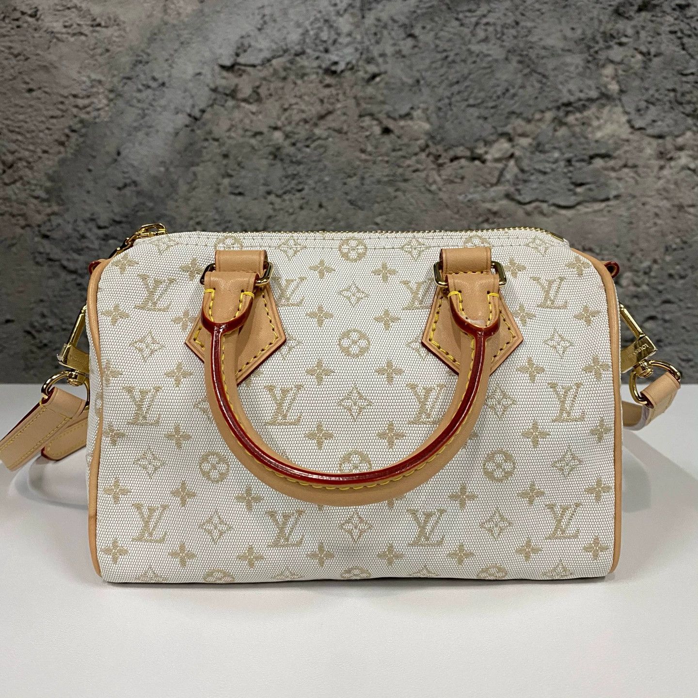 Louis Vuitton LV Speedy Pillow Bag white denim Size ONE SIZE - 1 Thumbnail