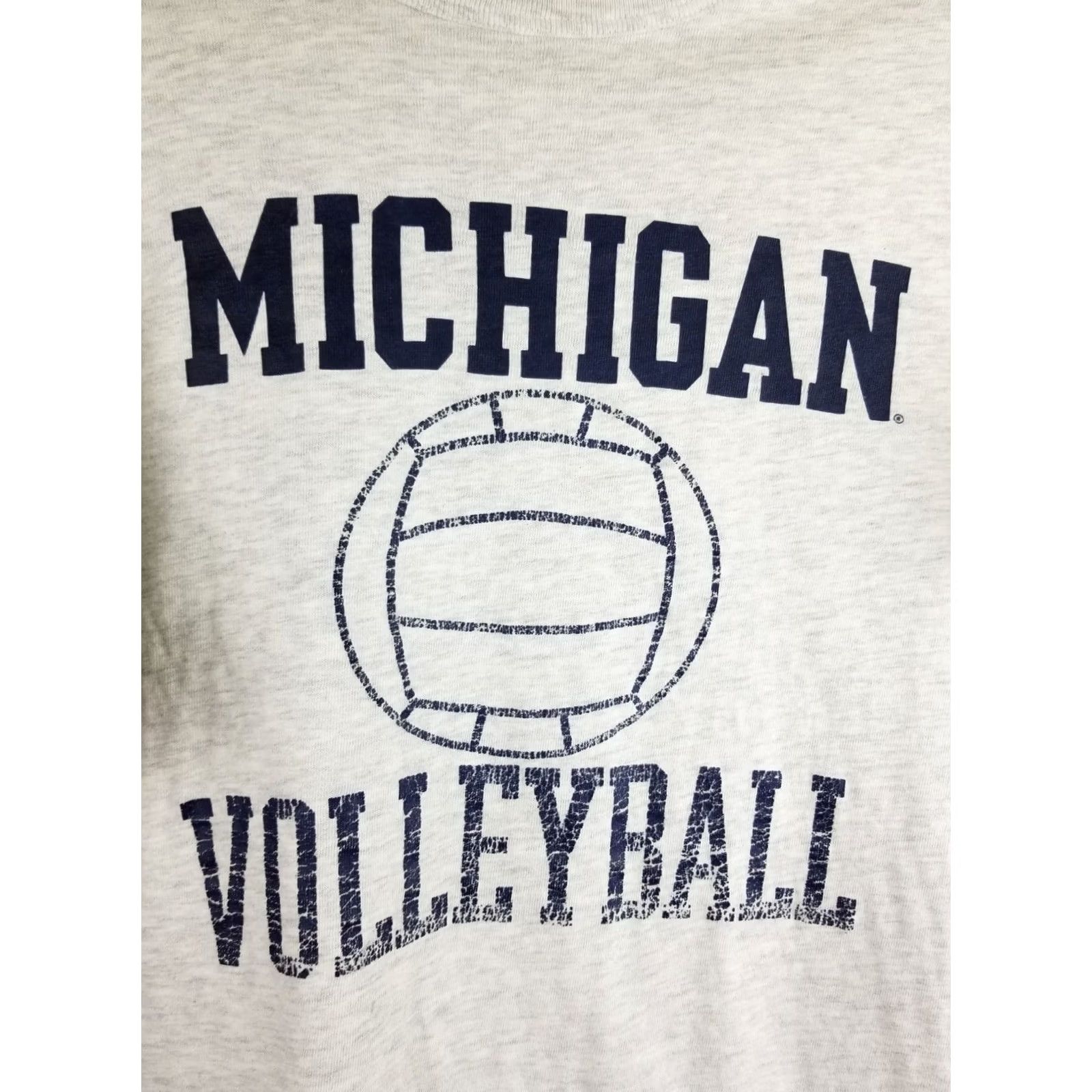Champion VINTAGE CHAMPION MICHIGAN STATE VOLLEYBALL GRAY COTTON T-SHIRT SZ LARGE Mens 90' Size US L / EU 52-54 / 3 - 2 Thumbnail
