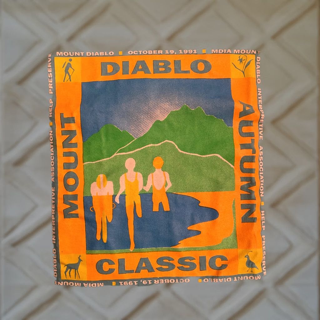 Vintage VINTAGE 1991 Destination Mount Diablo Autumn Classic Single Stitch Size XL T-Shirt Mens Turquoise Size US XL / EU 56 / 4 - 1 Thumbnail