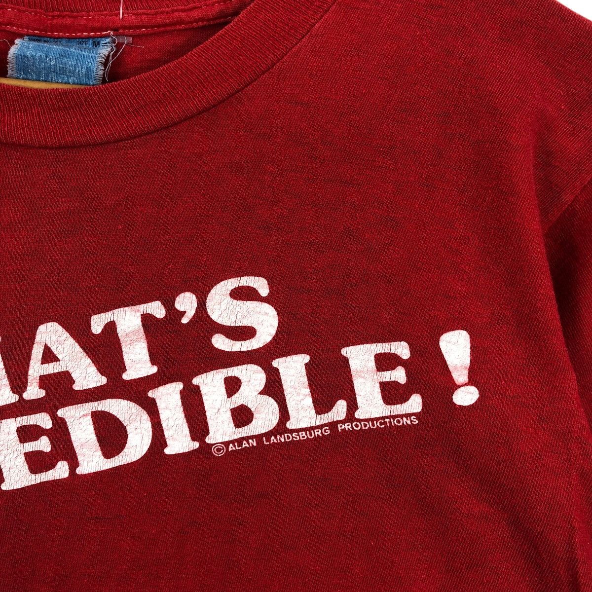 Vintage Vintage 80s Tv SERIES THATS INCREDIBLE Alan LandsburgT-Shirt Size US M / EU 48-50 / 2 - 4 Thumbnail