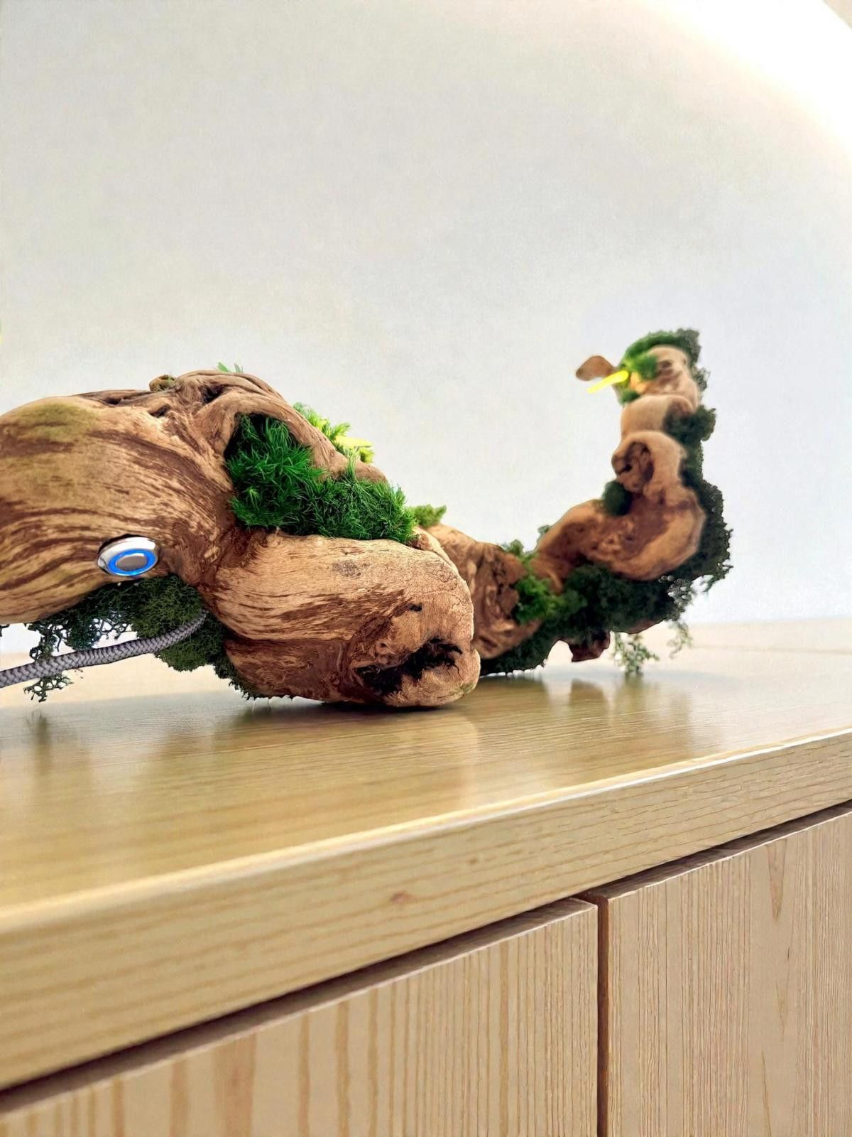 Other Driftwood, Original Grapevine Sculpture Lamp Preserved Moss Size ONE SIZE - 9 Thumbnail