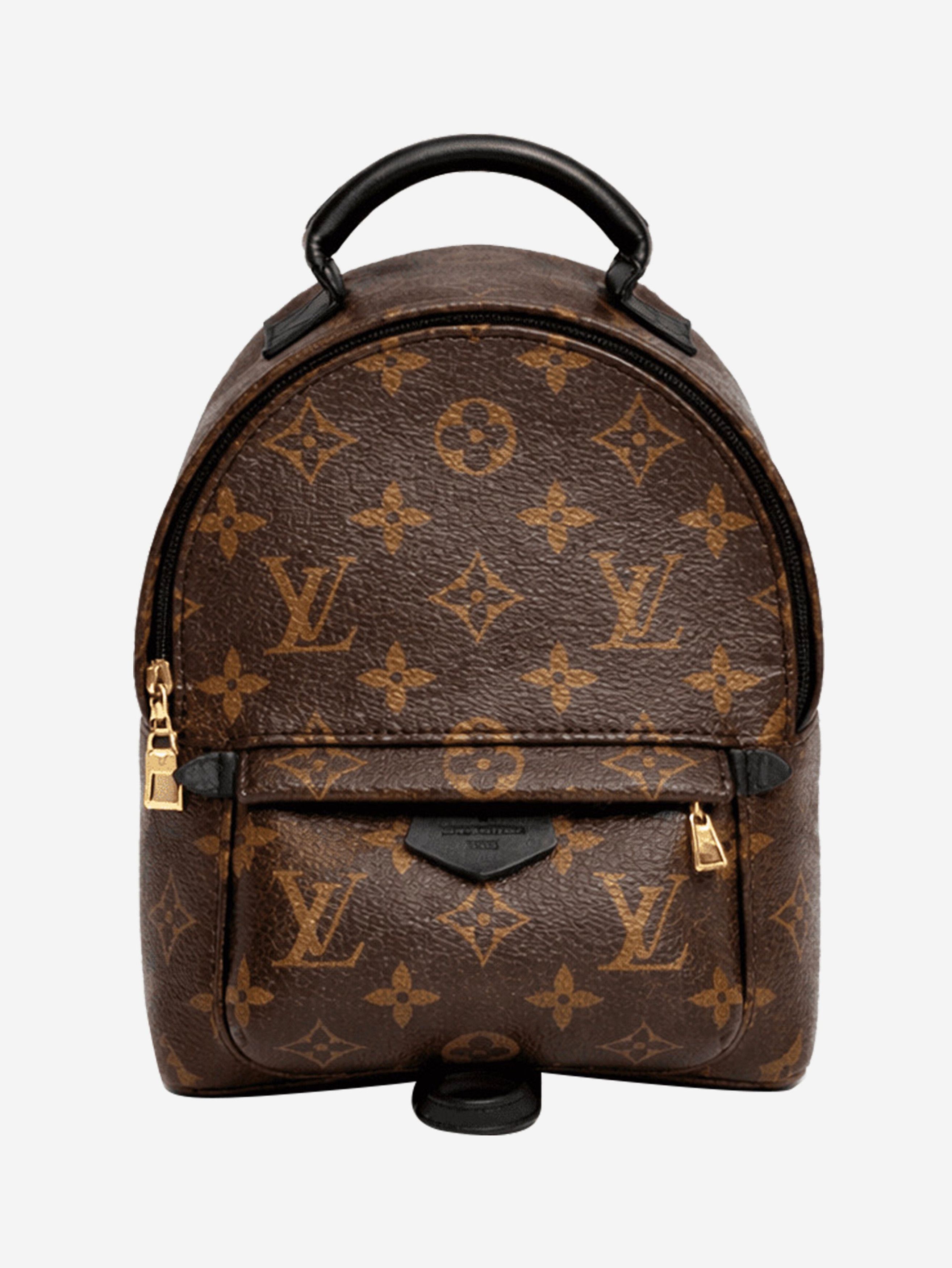 Other Brown 2016 Palm Springs mini backpack Size ONE SIZE - 1 Thumbnail