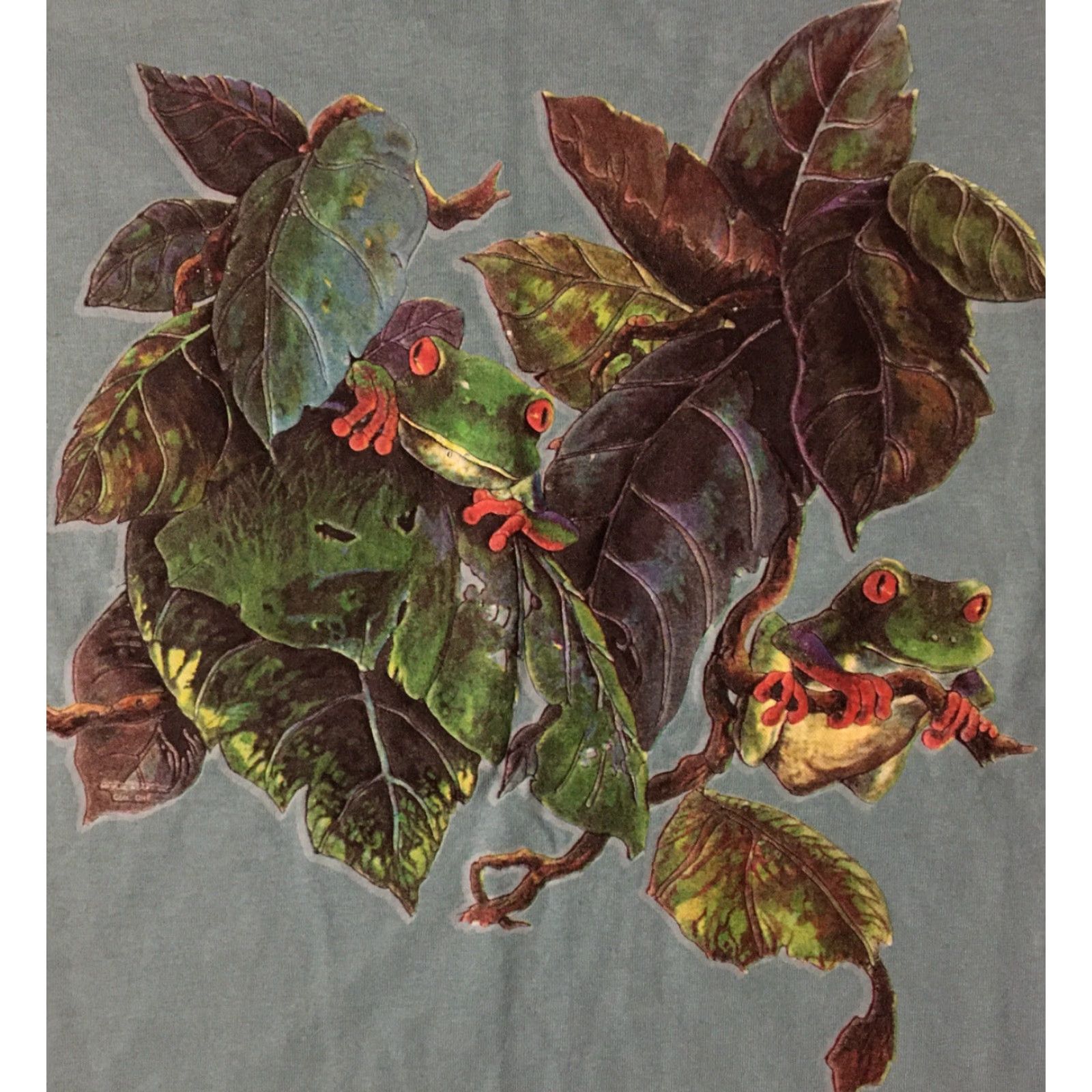 Fruit Of The Loom VINTAGE Tree Frog Rainforest Shirt M Green 90s 80s Jungle Nature Single Stitch Mens T-Shirt Size US M / EU 48-50 / 2 - 3 Thumbnail