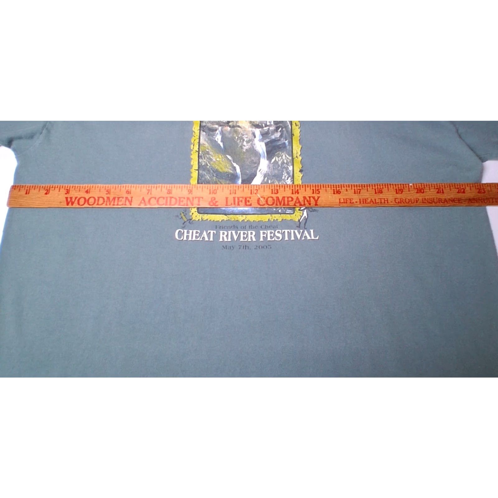 Vintage Cheat River Festival Shirt L Green West Virginia 2005 Organic Conservation Shirt Men Short Sleeve Crew Neck Cotton T-Shirt Beneficial T's Size US L / EU 52-54 / 3 - 3 Thumbnail