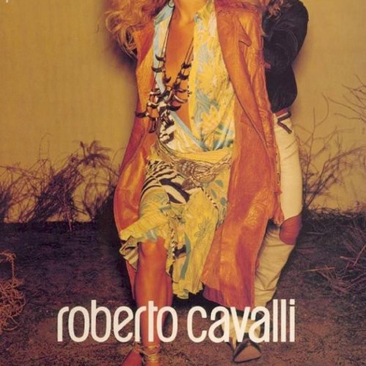 Just Cavalli × Roberto Cavalli class by roberto cavalli 00s zebra & floral maxi dress Size S / US 4 / IT 40 - 6 Thumbnail