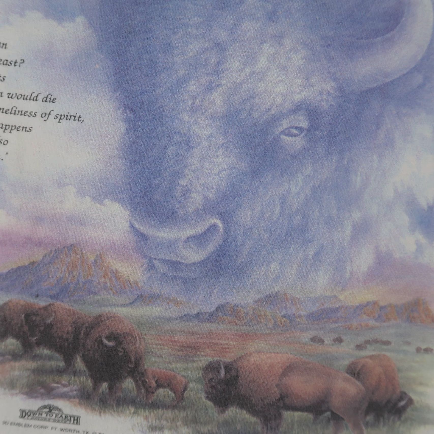 Delta VINTAGE Delta Men’s T-Shirt Short Sleeve XL White 90s 3D Buffalo Bison Cartoon Nature Size US XL / EU 56 / 4 - 4 Thumbnail