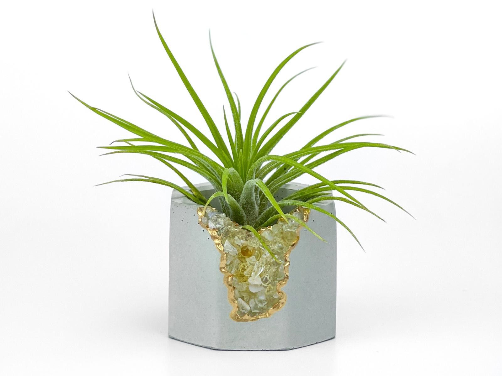 Other Geode Plant Holder Tumbled Citrine Stone Pot Air Plant gift Size ONE SIZE - 9 Thumbnail