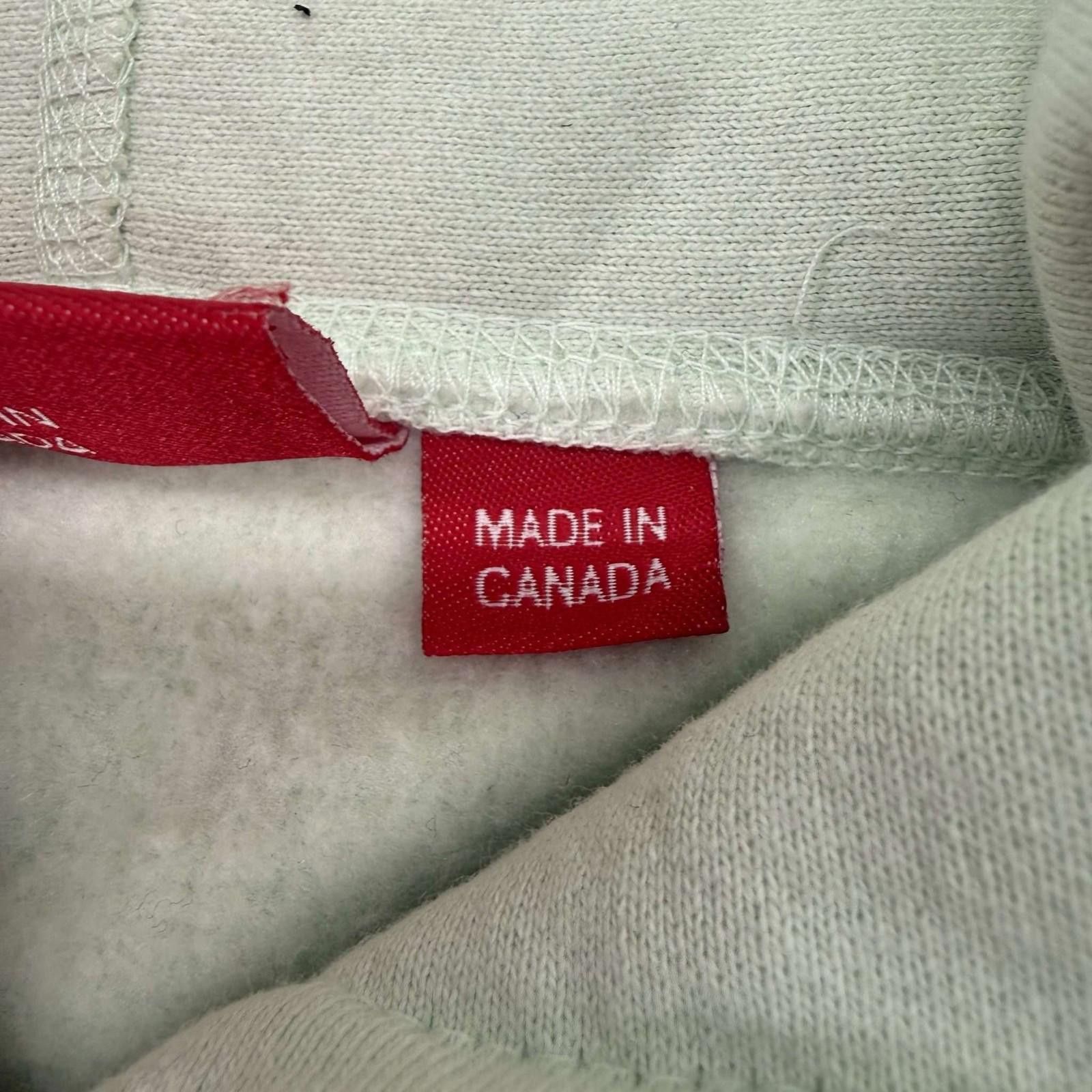 Supreme Supreme Box Logo Hooded Sweatshirt Light Green FW23 Size US L / EU 52-54 / 3 - 8 Thumbnail