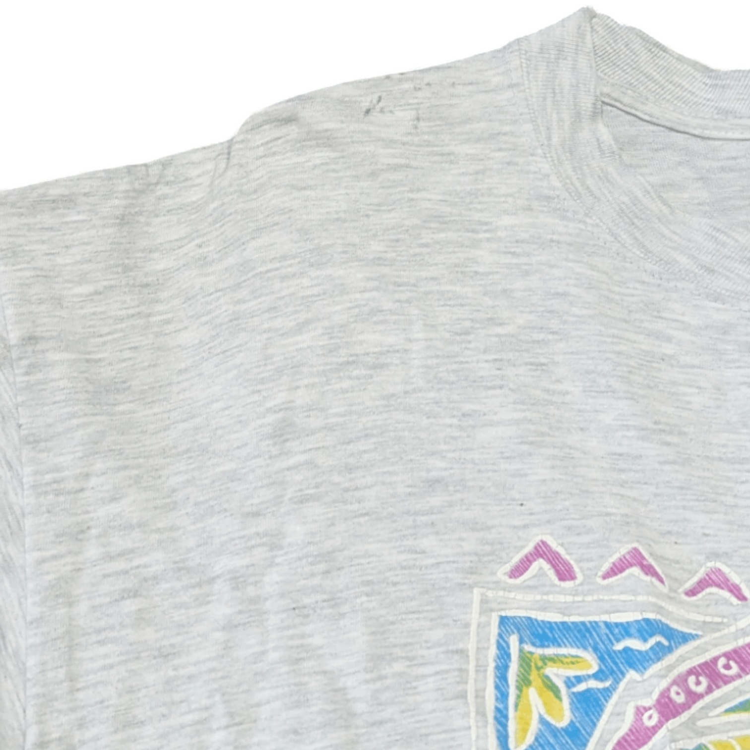 Vintage 2000's HAWAII Colourful Fish Graphic T-Shirt
