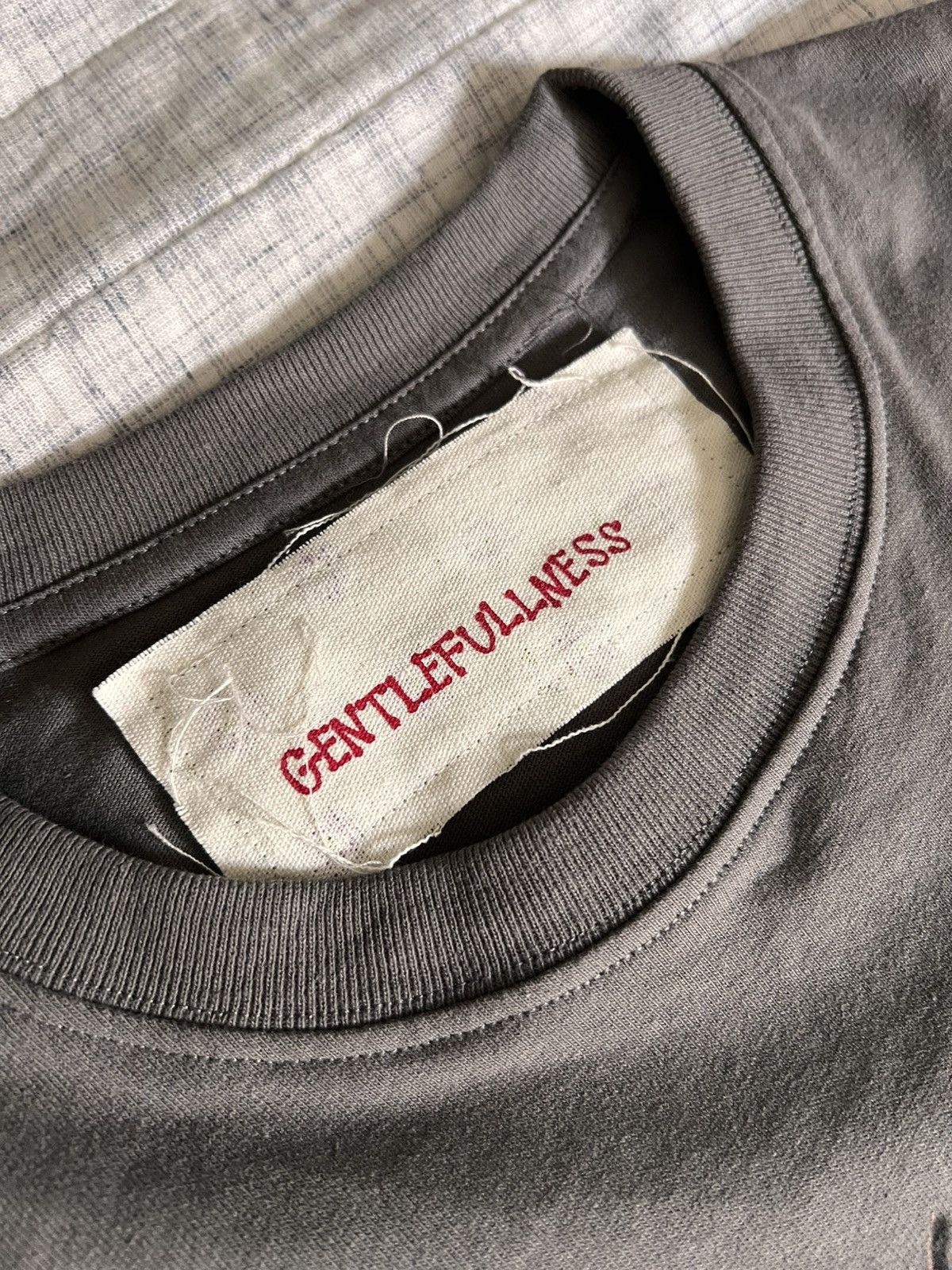 Gentle Fullness Gentle Fullness Bugs Tee Size US L / EU 52-54 / 3 - 2 Thumbnail