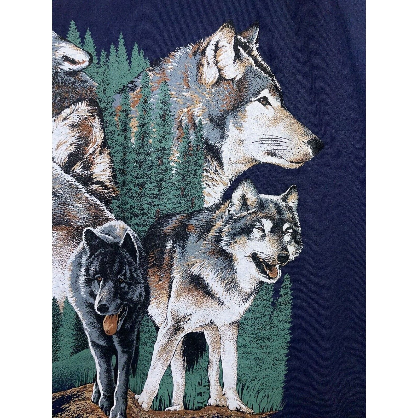 Jerzees Vintage Rocky Mountain Wolf Shirt Wolfs Blue Tee VTG 90s L Size US L / EU 52-54 / 3 - 5 Thumbnail