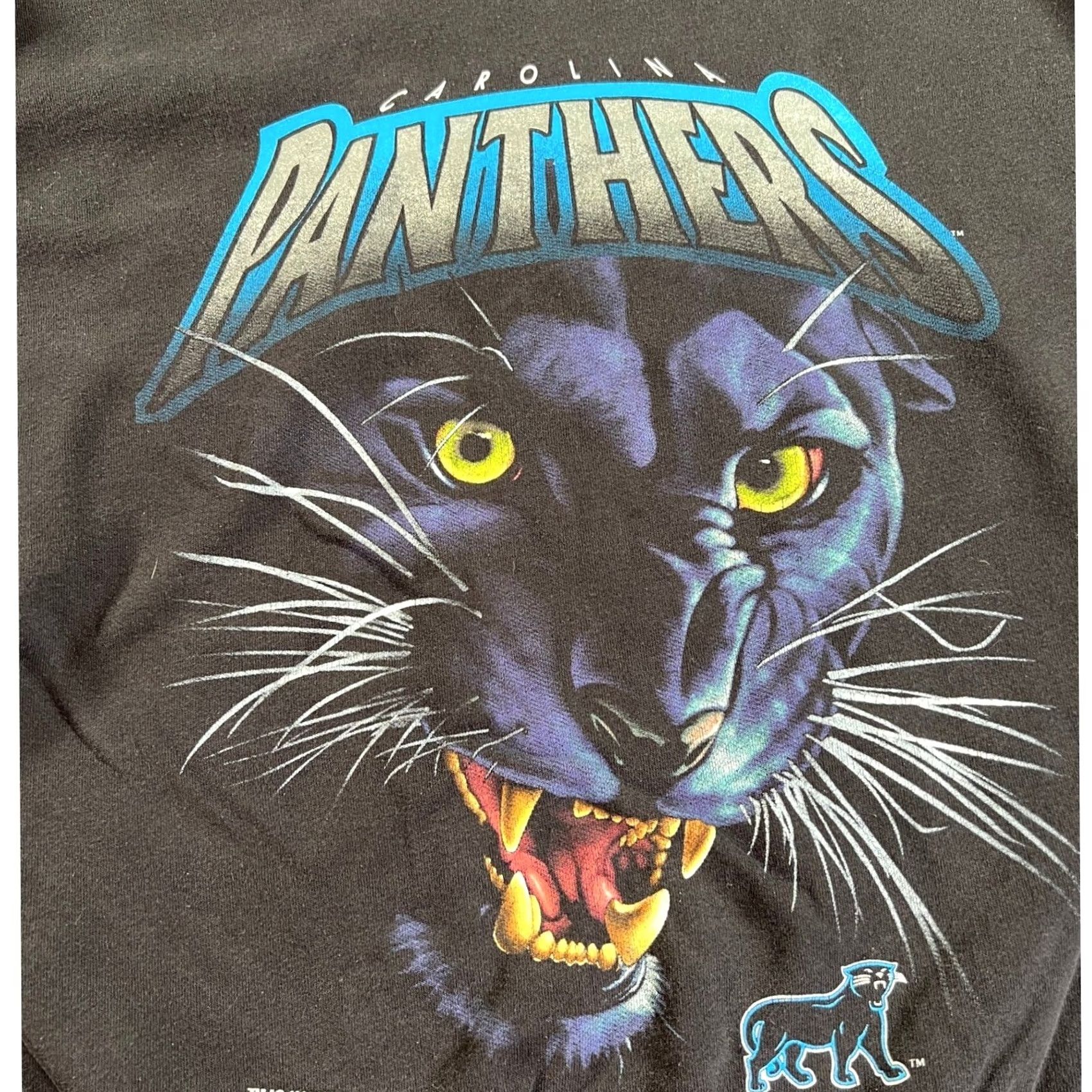 Salem Sportswear Vintage Salem Sportswear Carolina Panthers Sweatshirt Mens Large Black 1993 USA 90s Retro Graphic Size US L / EU 52-54 / 3 - 6 Thumbnail