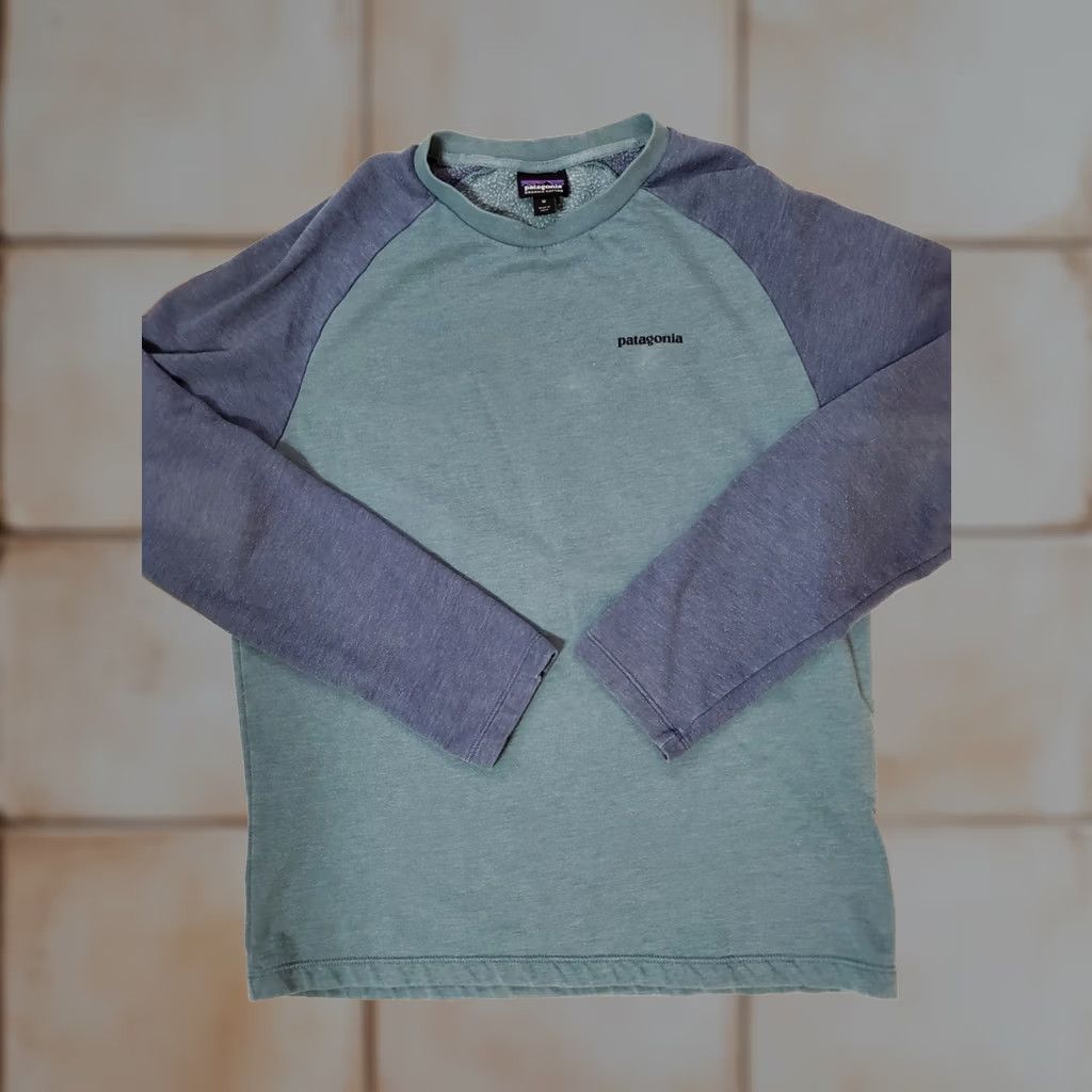 Patagonia Patagonia Sweatshirt Logo Men's M Blue Crew Neck Lightweight Organic Cotton Polyester Fitz Roy Outdoor Size US M / EU 48-50 / 2 - 1 Thumbnail