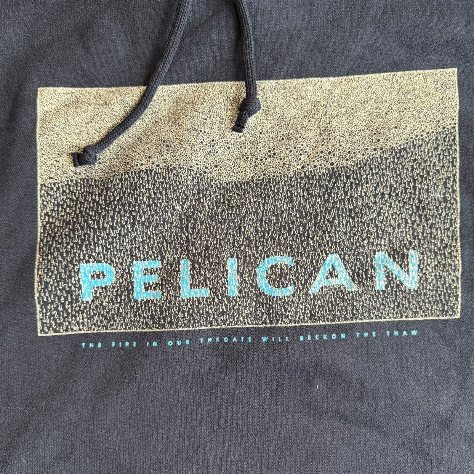 Band Tees Pelican Band The Fire In Our Throats Vintage Hoodie Size L Size US L / EU 52-54 / 3 - 2 Thumbnail