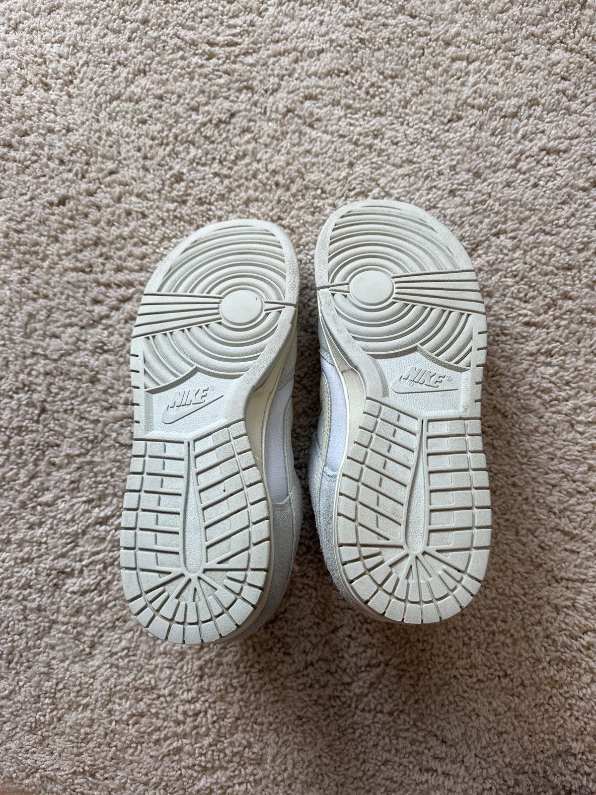 Nike dunks beaverton fish