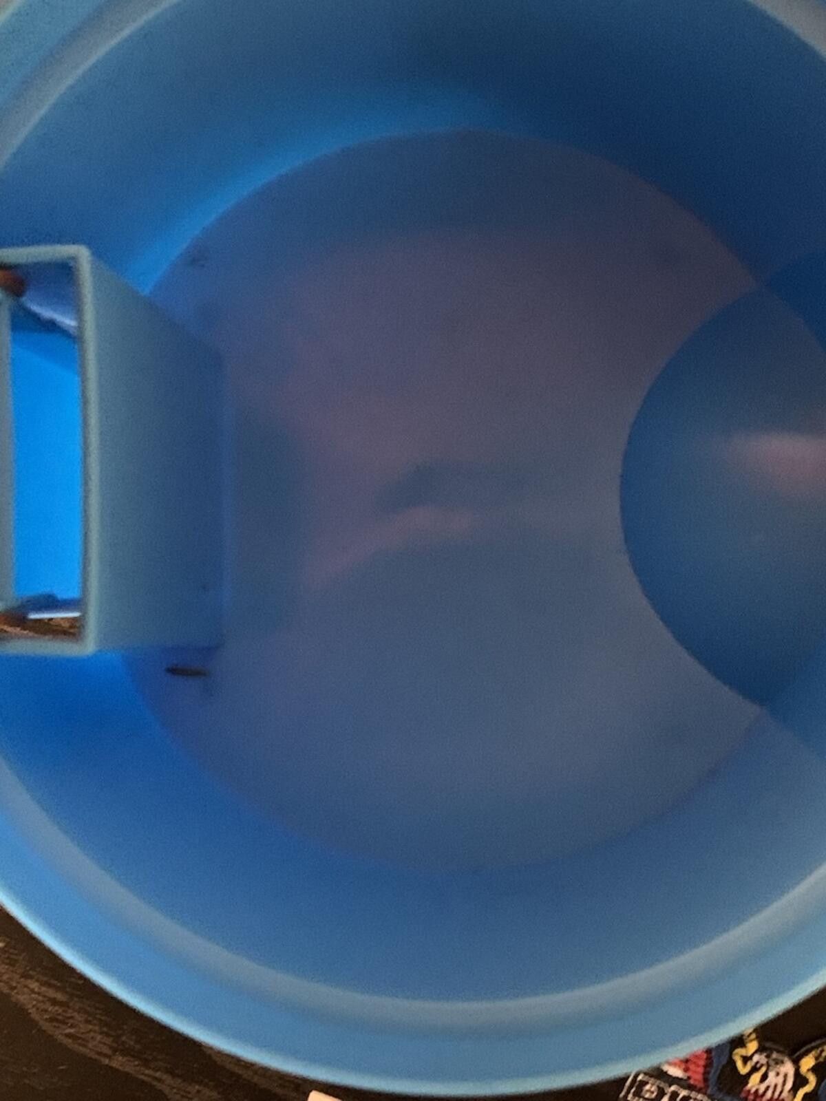 Bape BAPE x Baby Milo Mini Trash Can - Sanrio A Bathing Ape NIgo Size ONE SIZE - 9 Thumbnail
